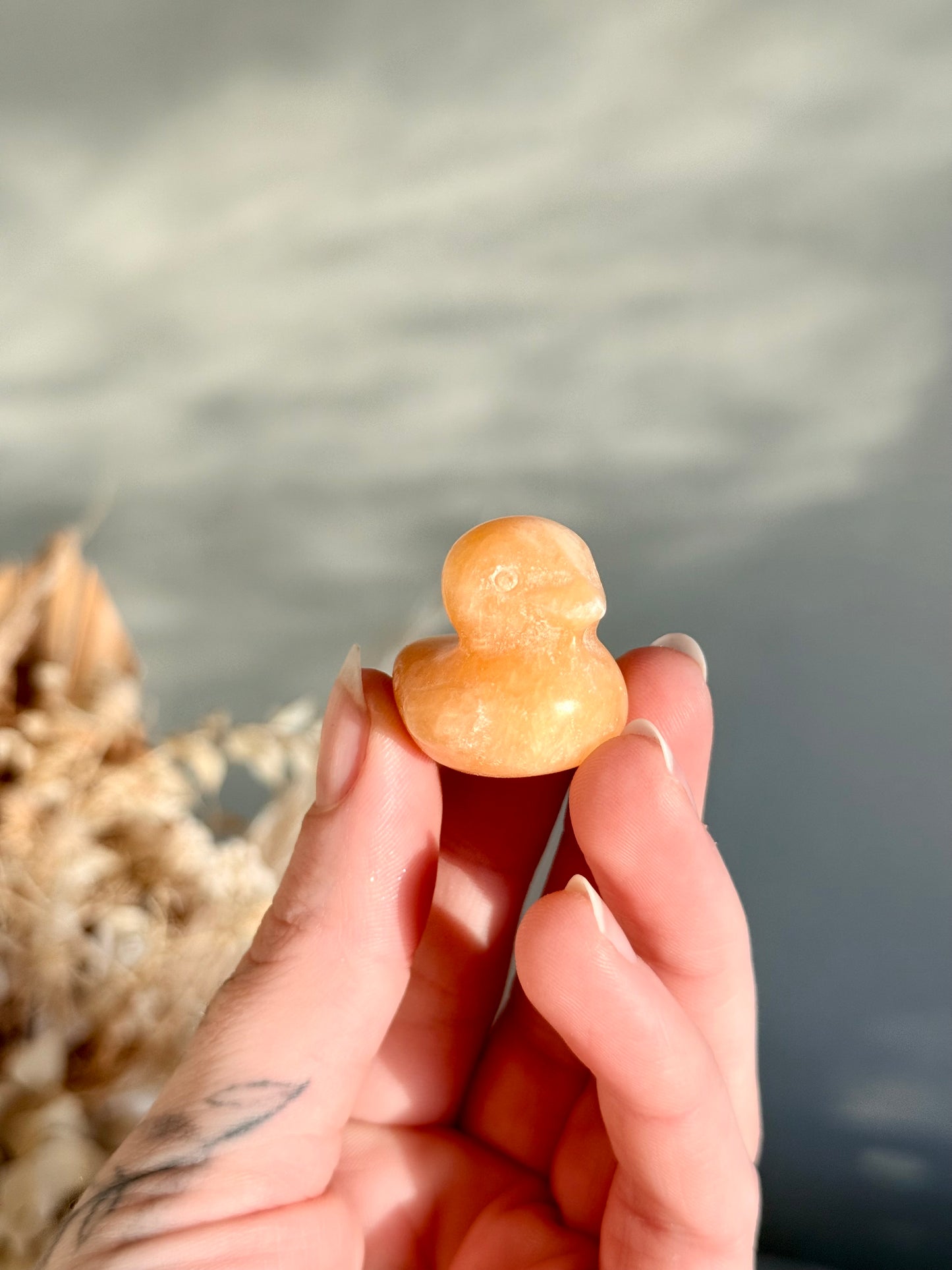 Calcite Duck