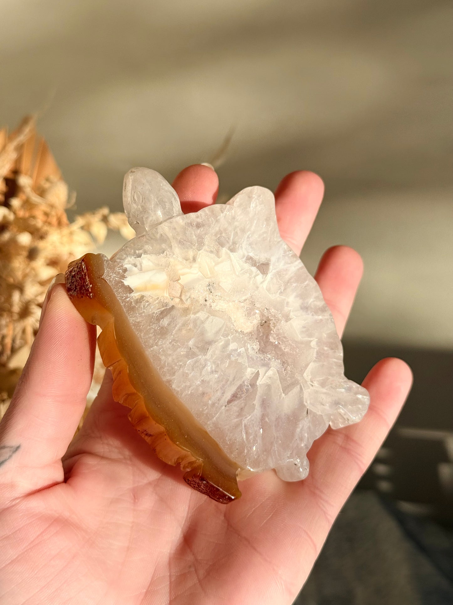 Druzy Agate Turtle