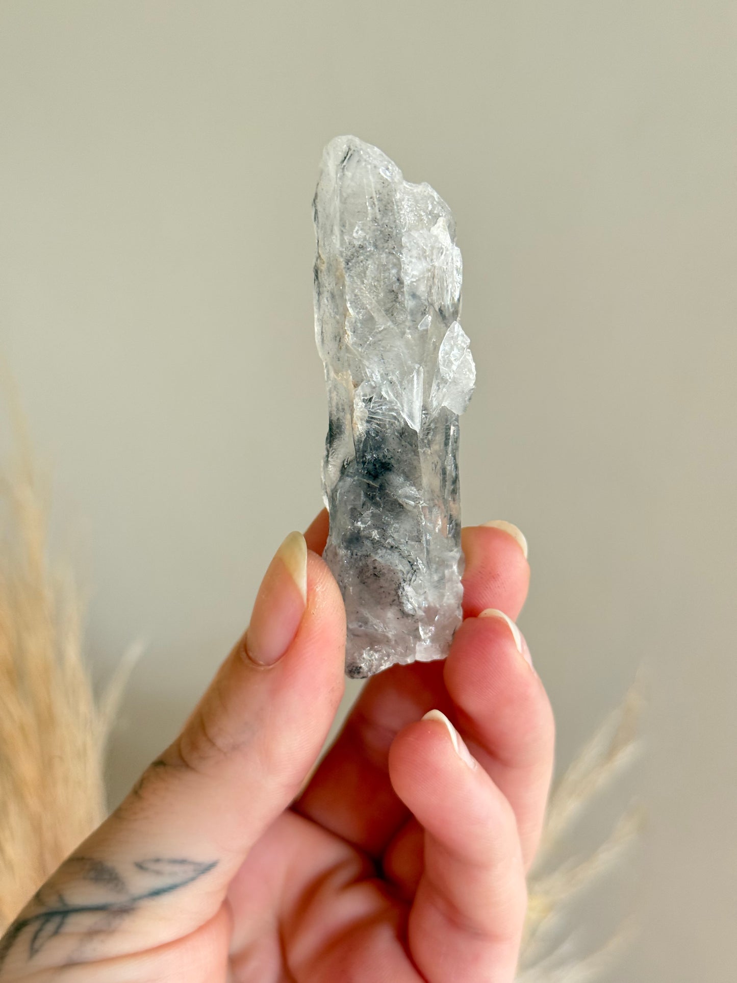 Black Phantom Garden Quartz