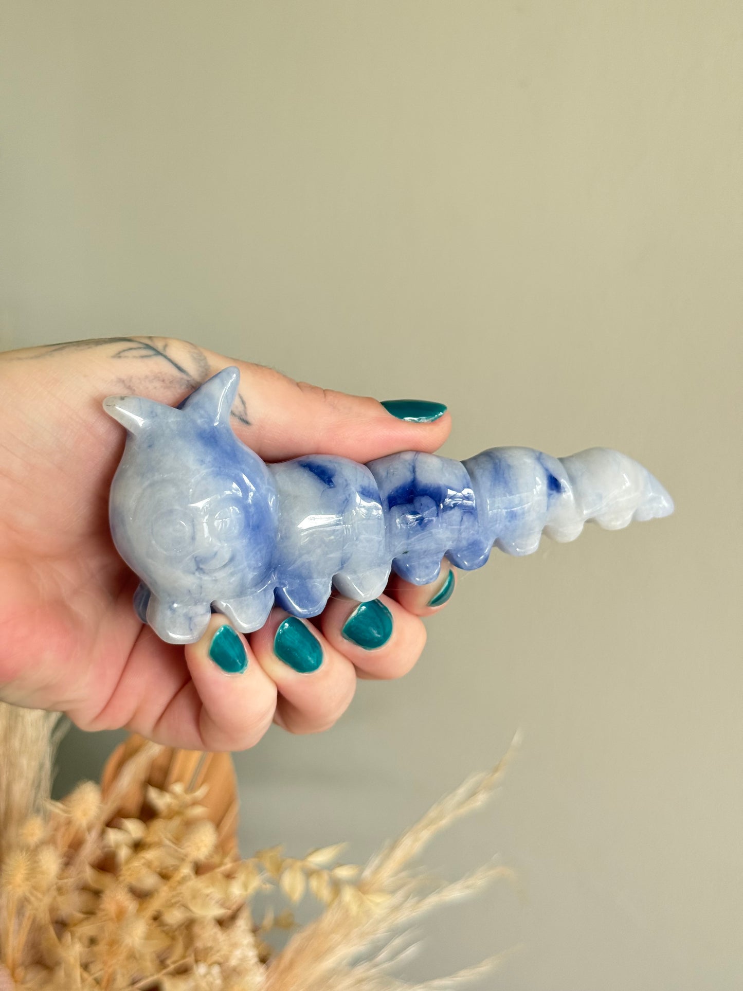 Blue Jean Jasper Caterpillar