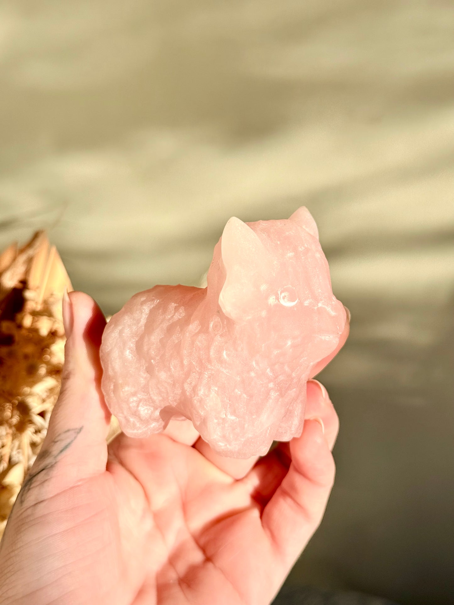 Rose Quartz Highland Cow