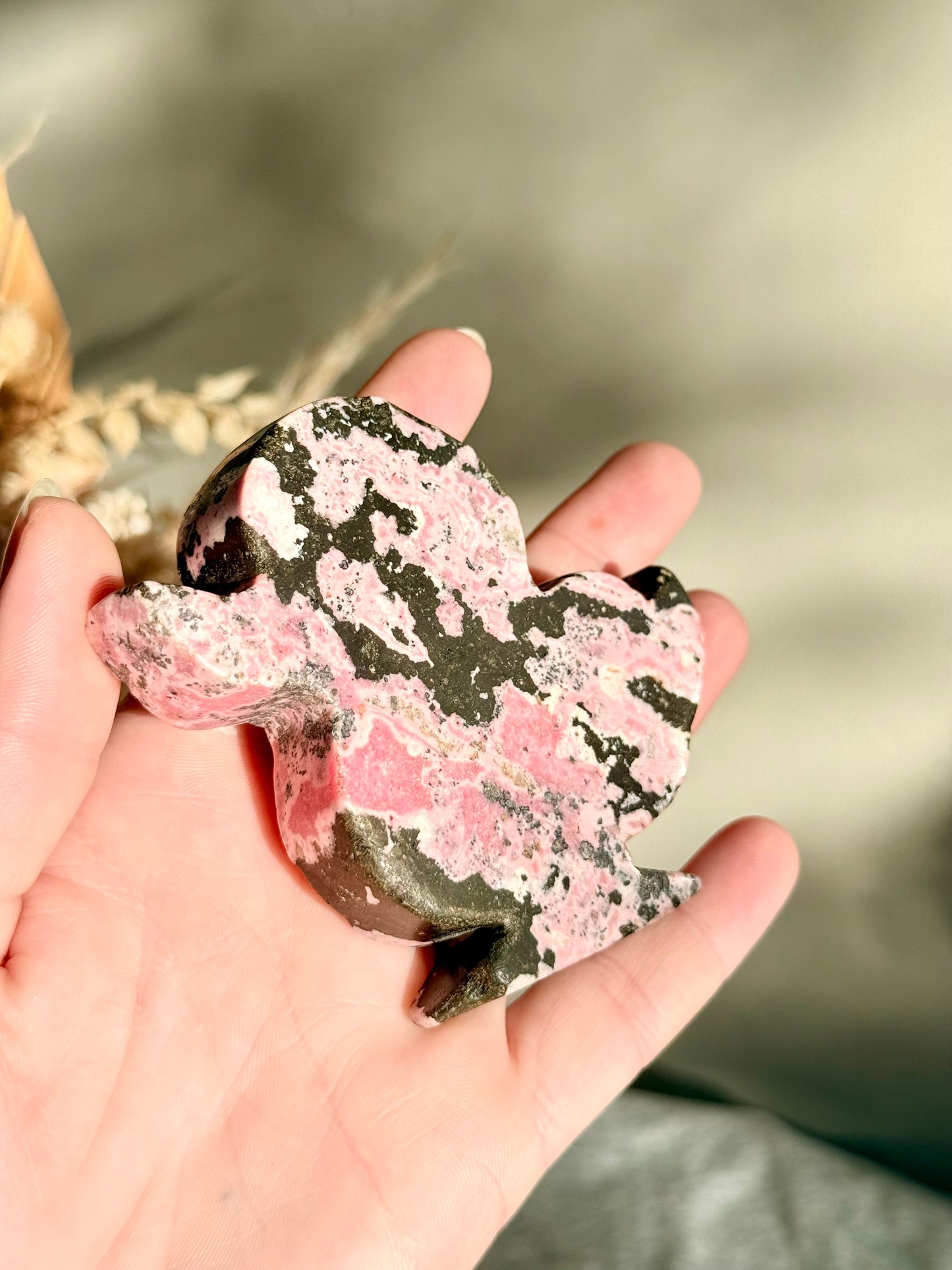 Peruvian Rhodonite Duck