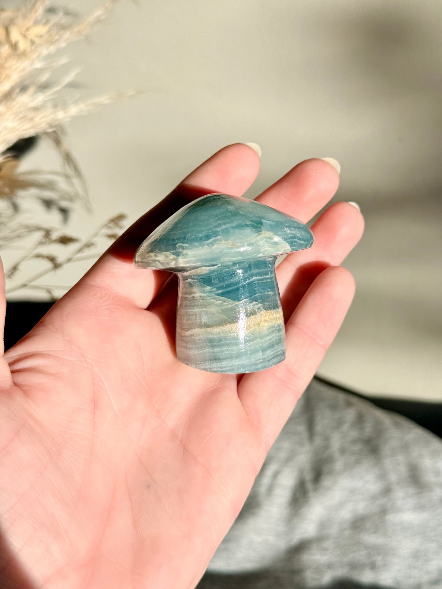 Blue Onyx Mushroom