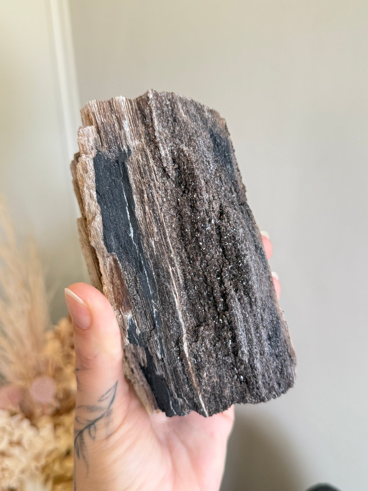 Crystallised Fossilised Wood