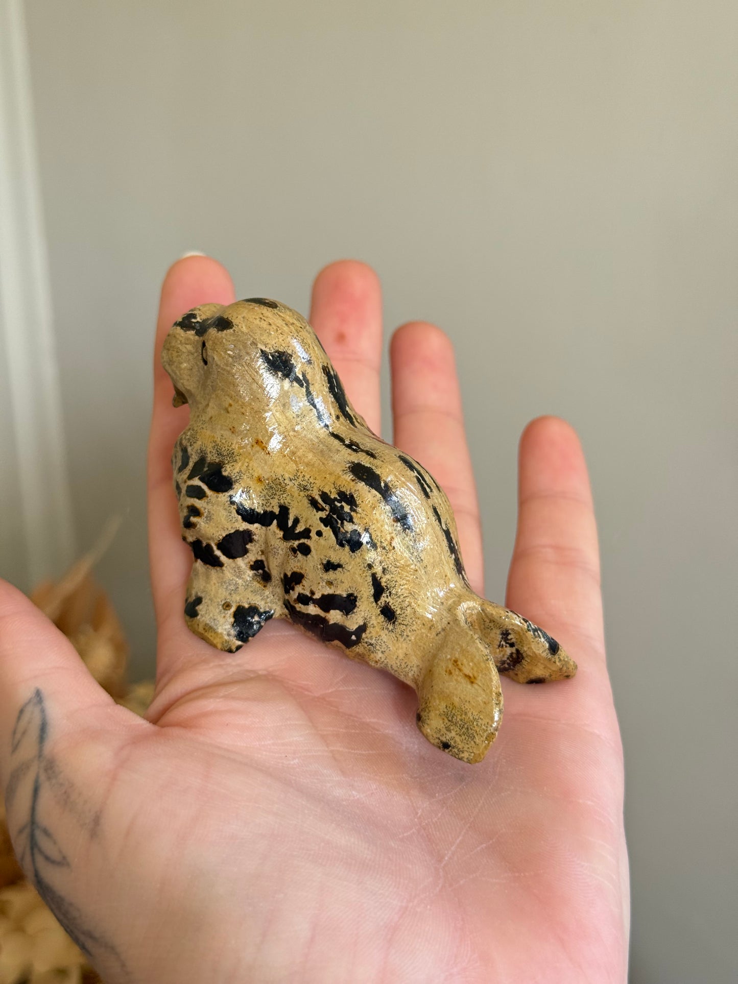 Picture Jasper Walrus