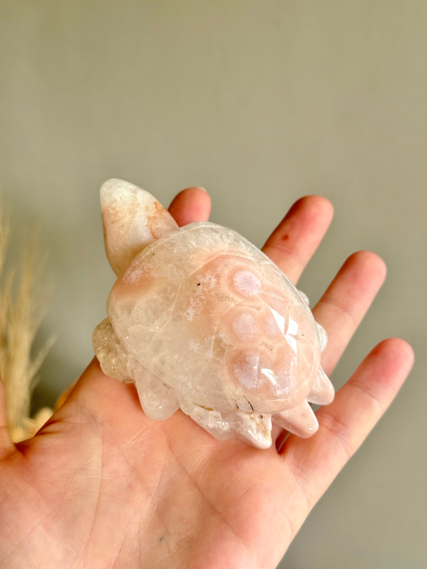 Flower Agate Turtle