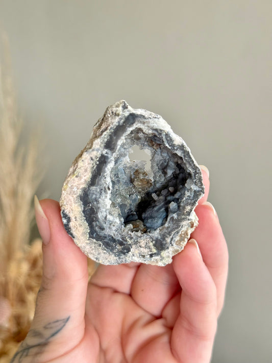 Mexican Agate Geode with Inclusions
