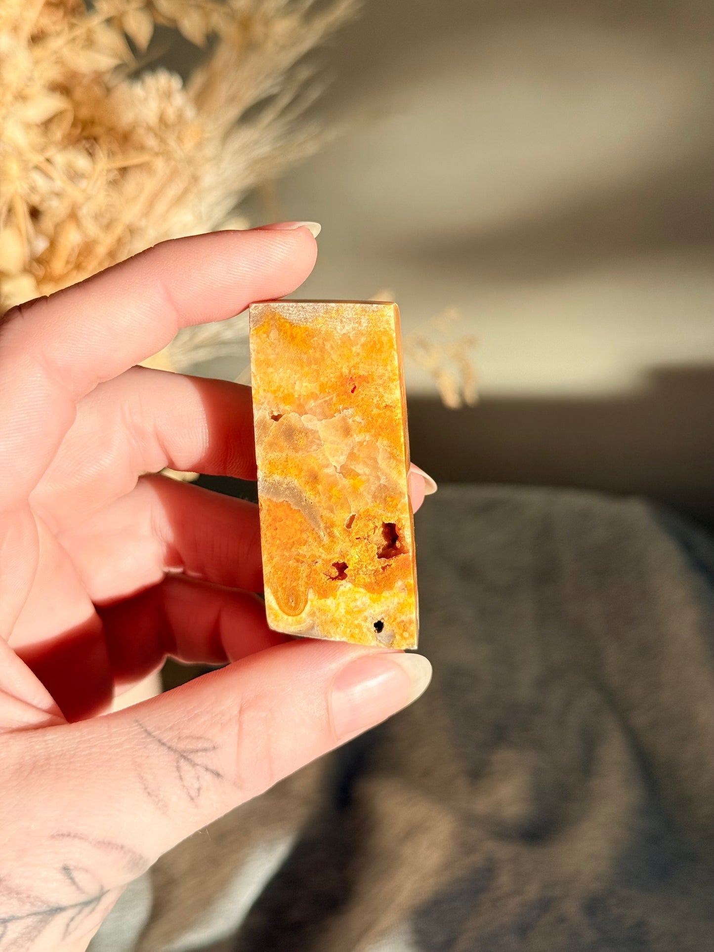 Bumblebee Jasper Freeform