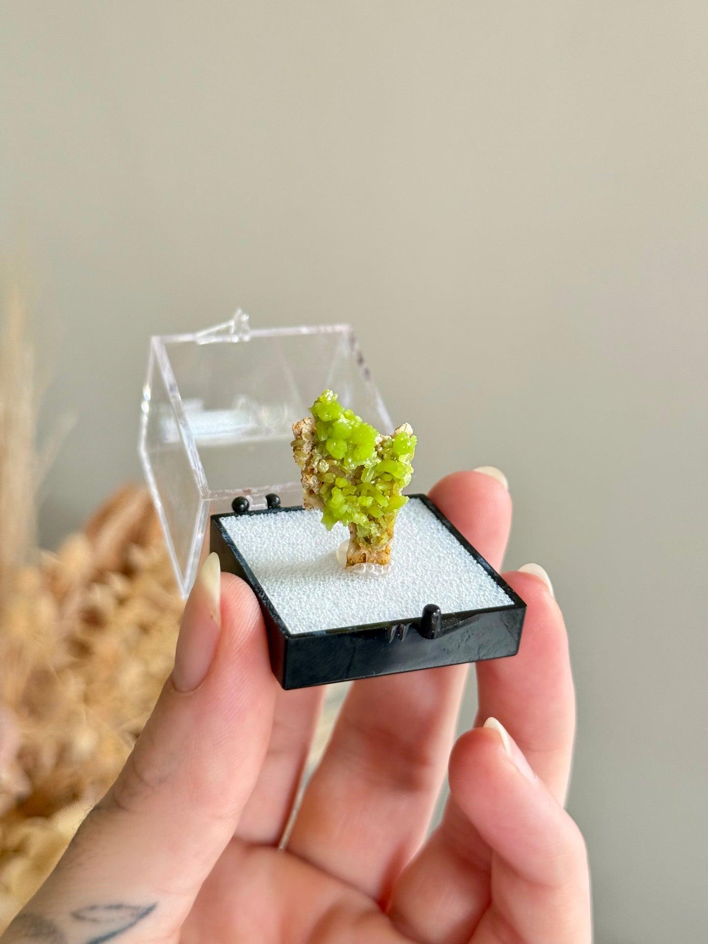 Pyromorphite Specimen