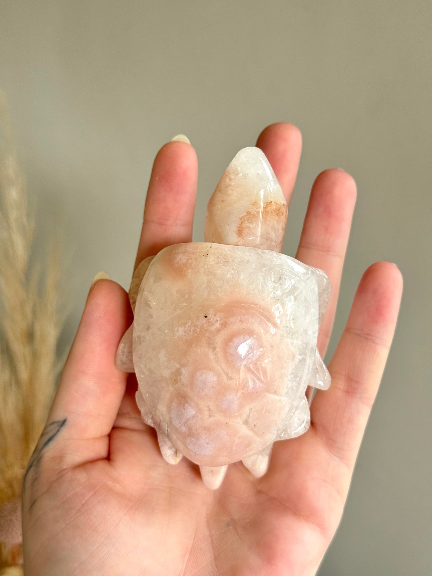 Flower Agate Turtle