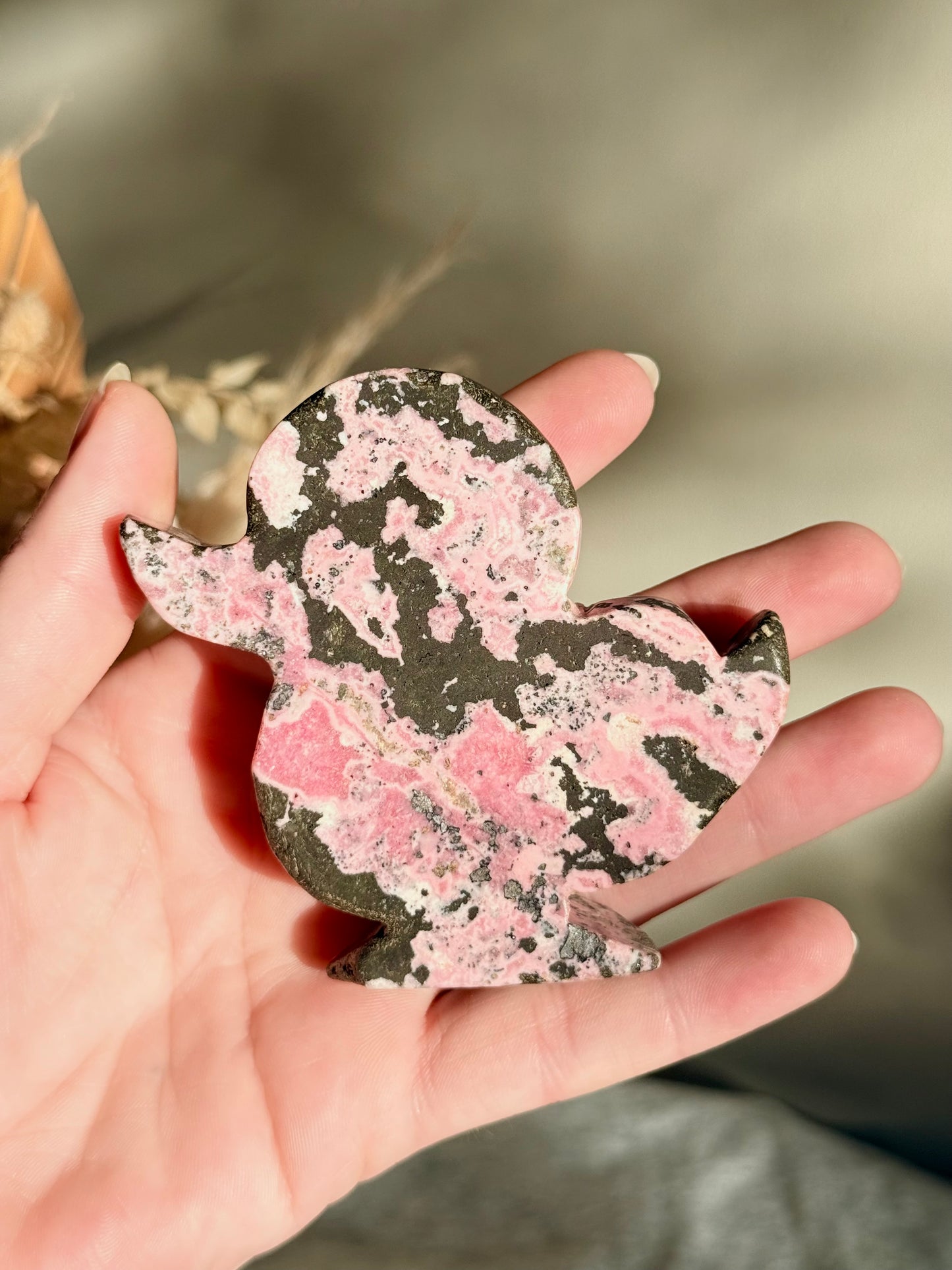 Peruvian Rhodonite Duck