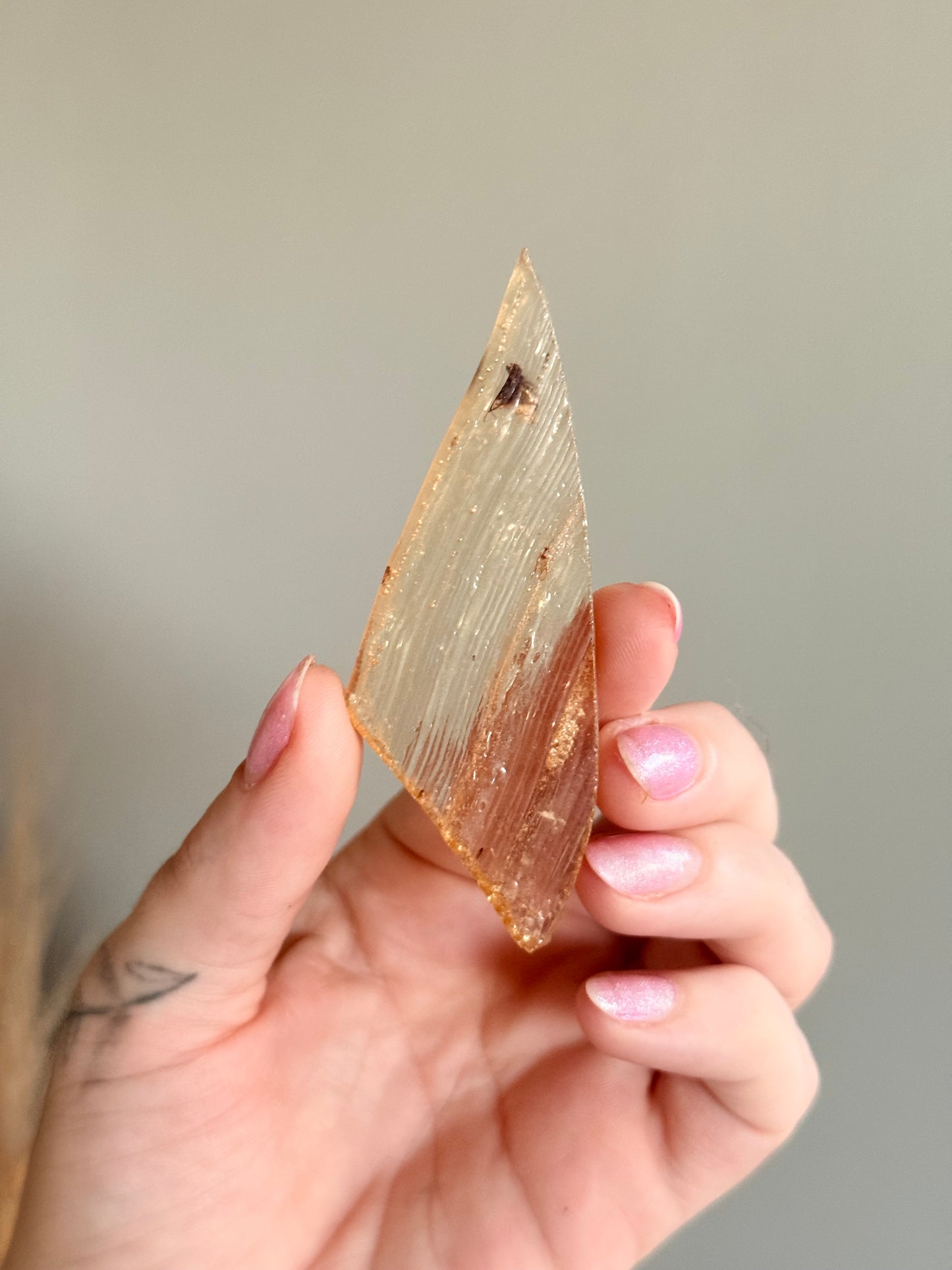 Copal with Insect (young Amber)