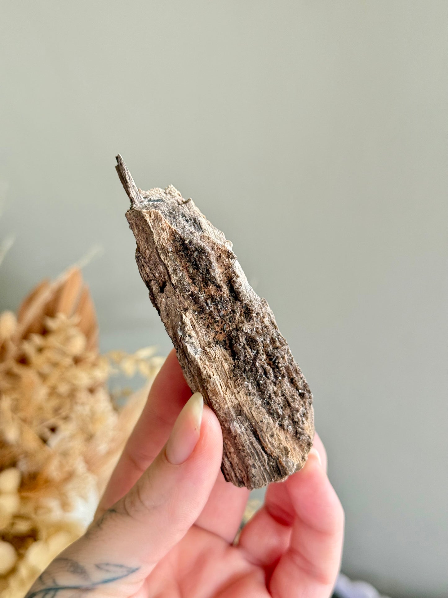 Crystallised Fossilised Wood