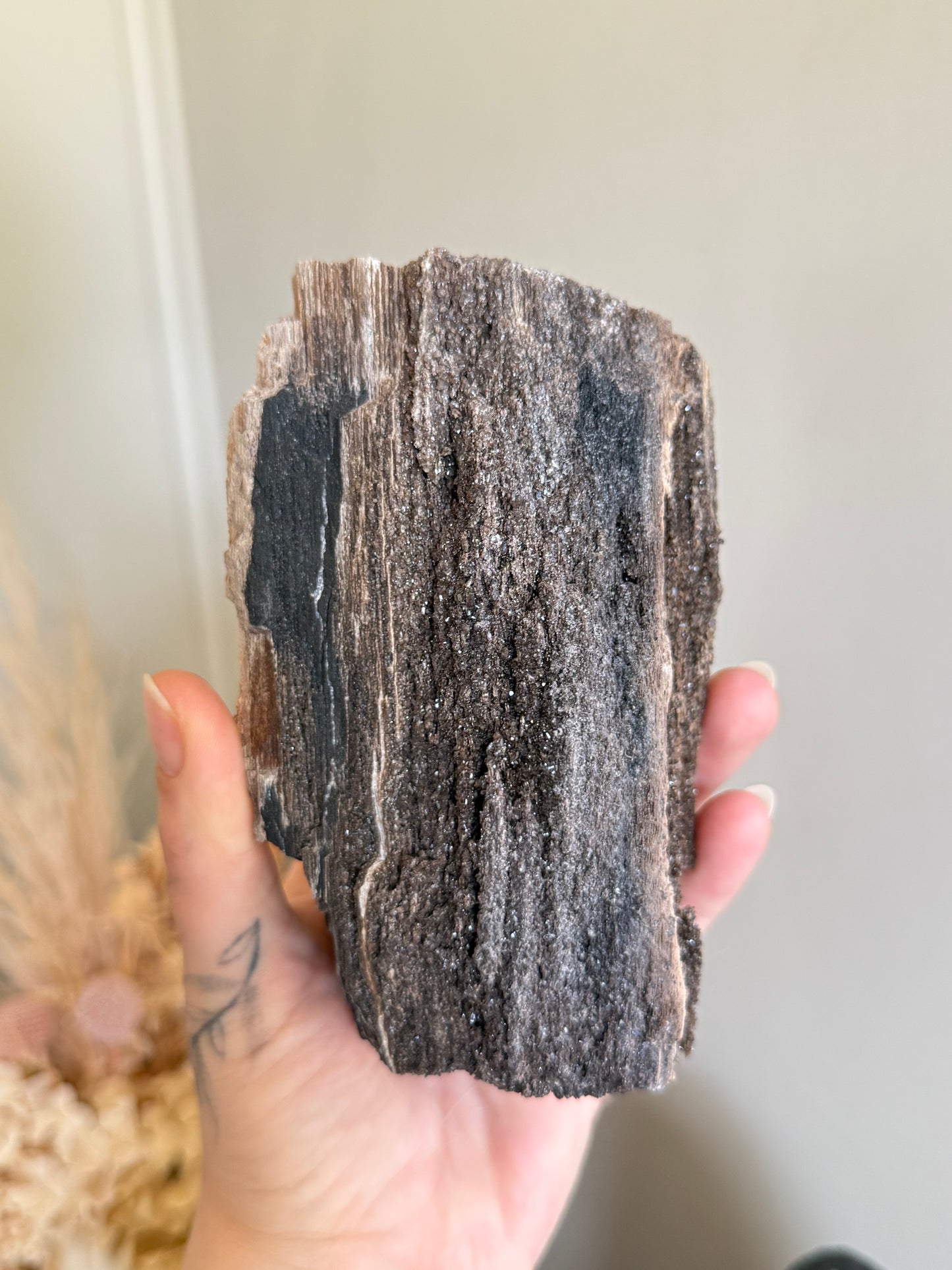 Crystallised Fossilised Wood