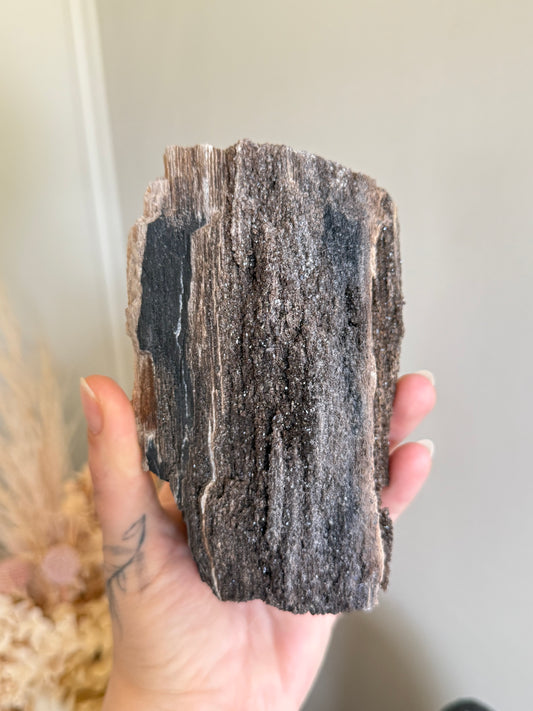 Crystallised Fossilised Wood