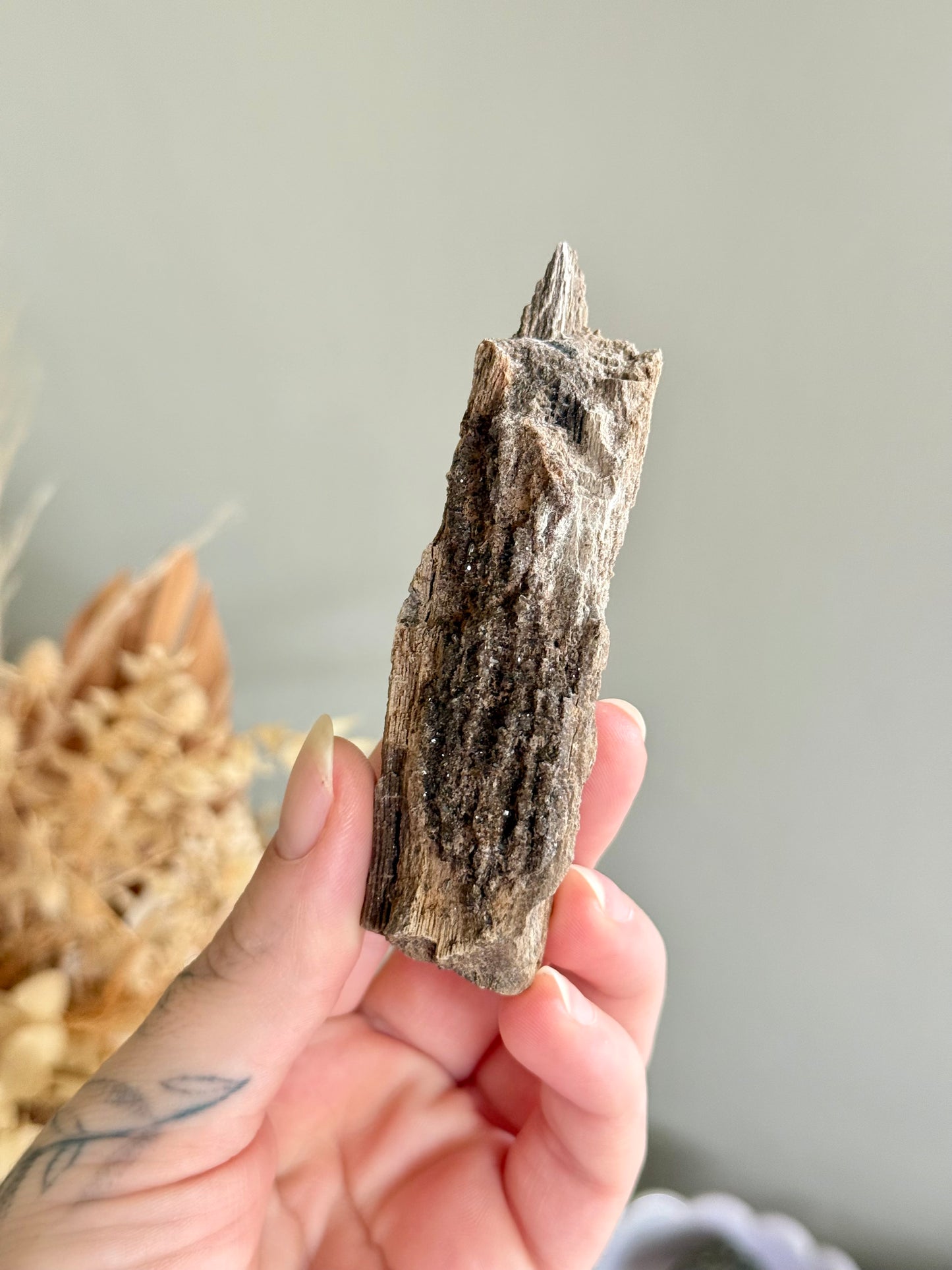 Crystallised Fossilised Wood