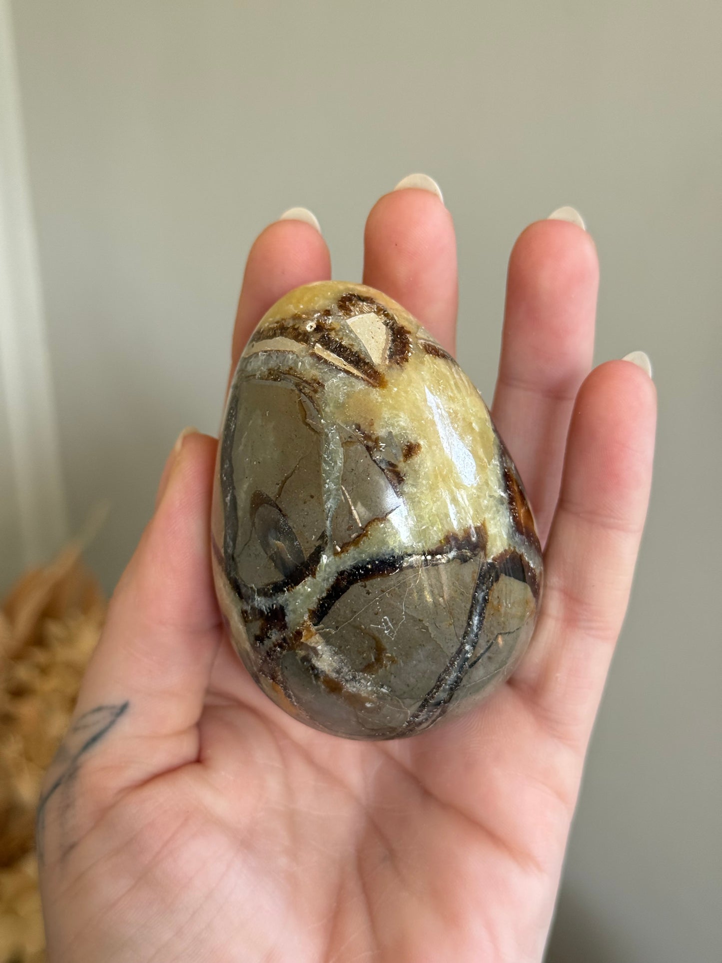Septarian Jasper Egg