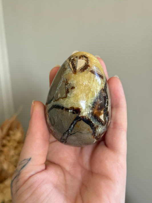 Septarian Jasper Egg