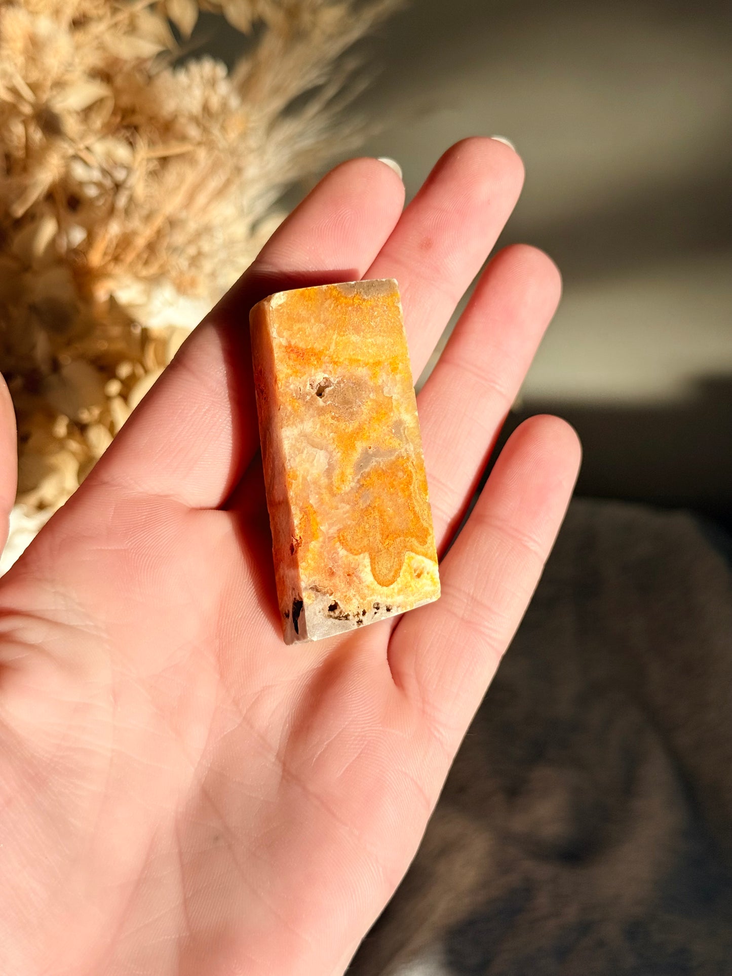 Bumblebee Jasper Freeform