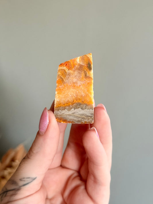 Bumblebee Jasper Freeform