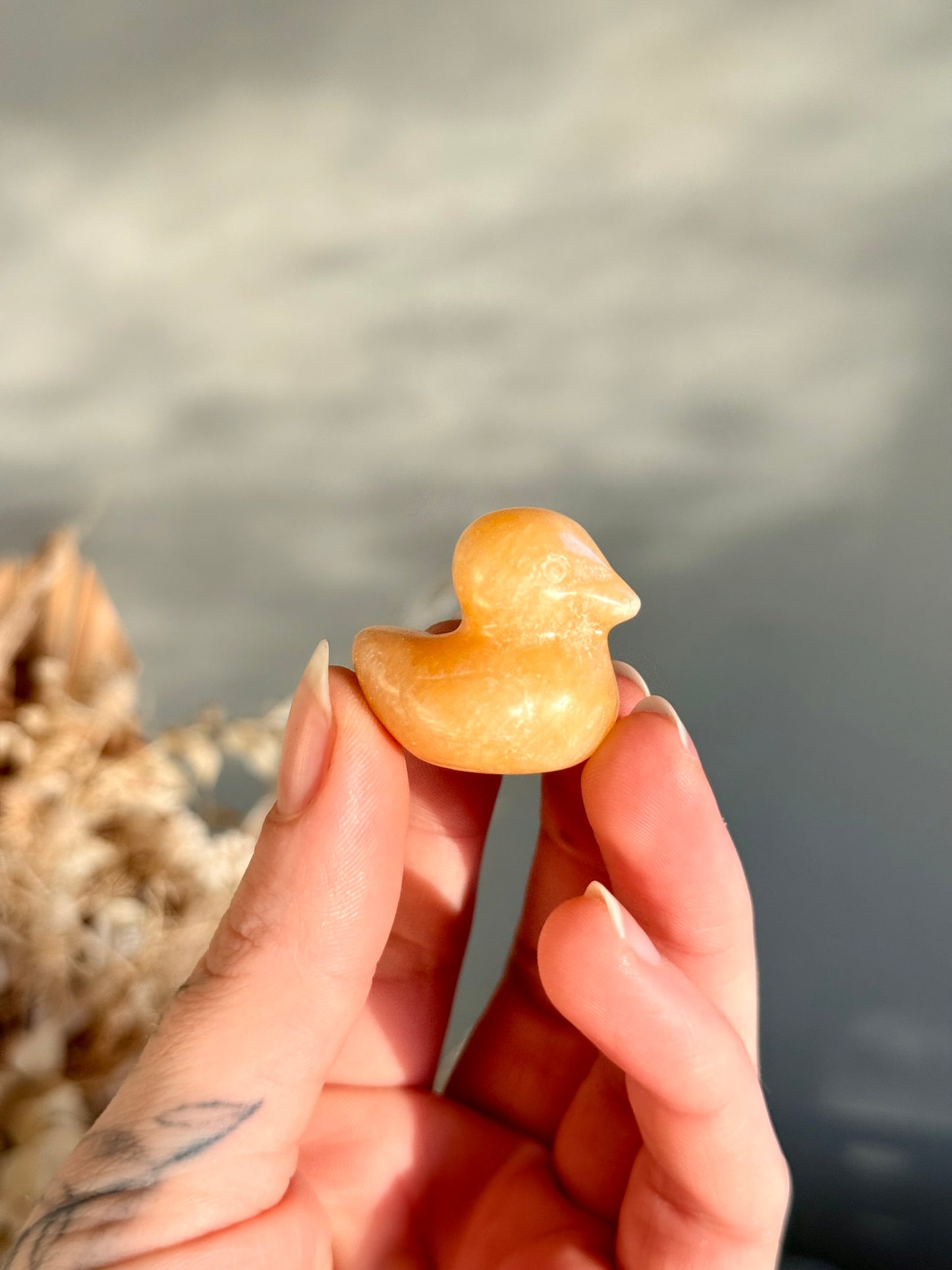 Calcite Duck