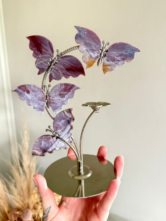 Ocean Jasper Butterflies