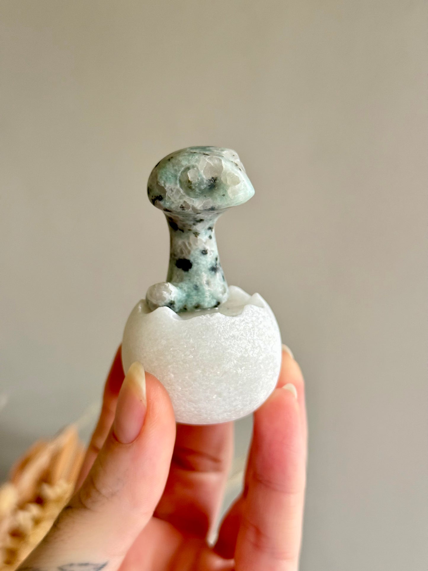 Kiwi Jasper Dinosaur Egg