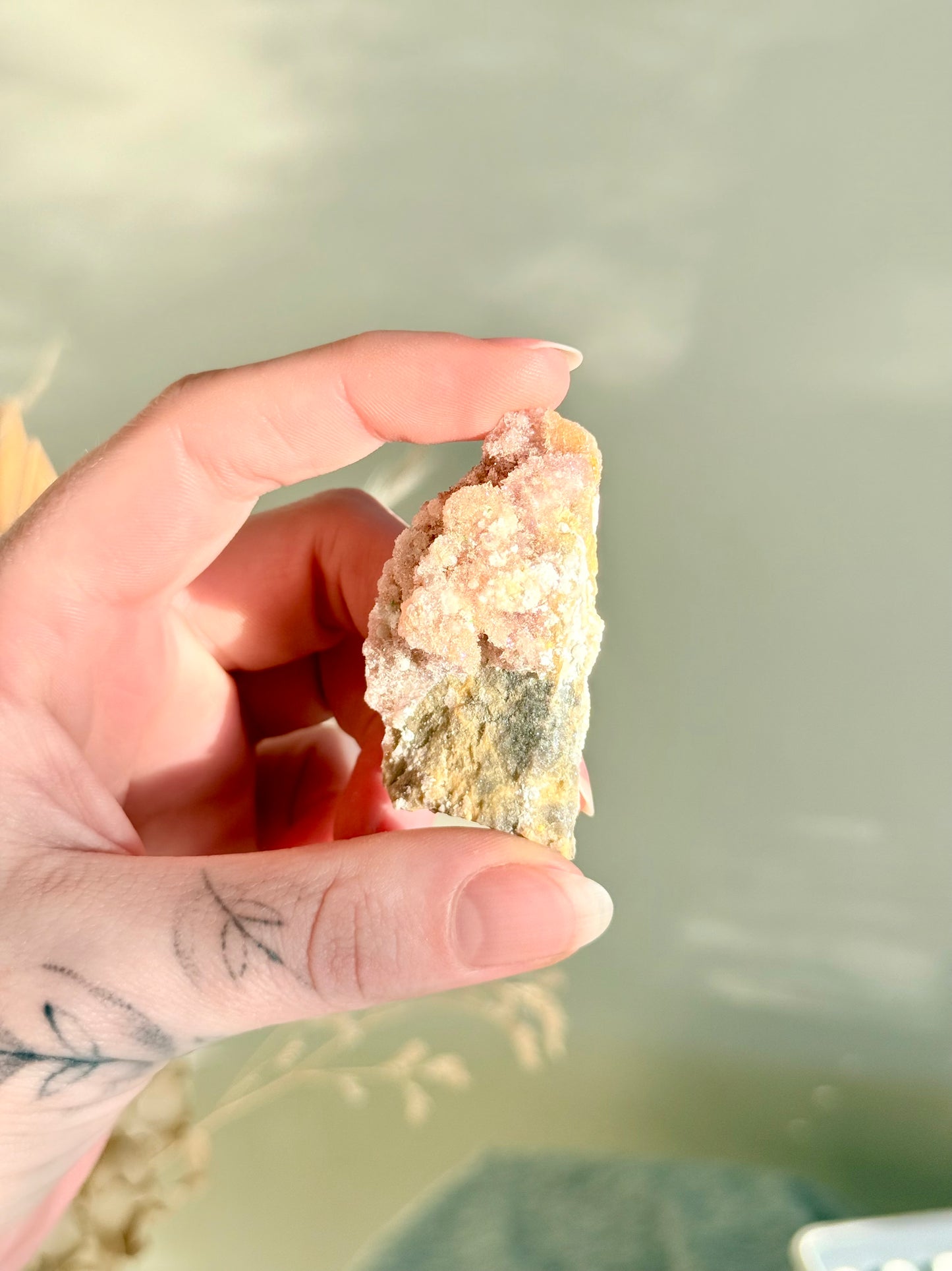 Creedite