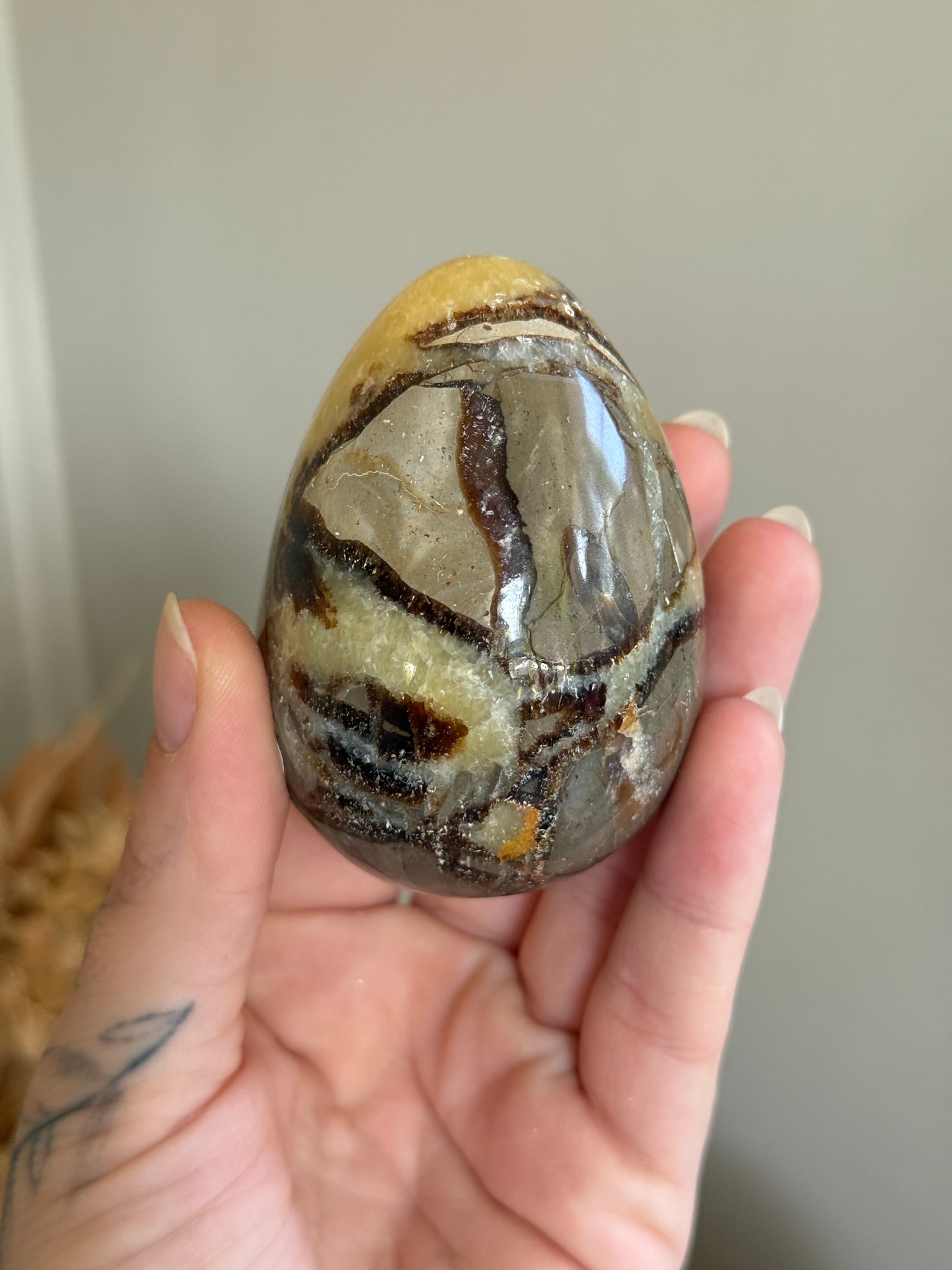 Septarian Jasper Egg