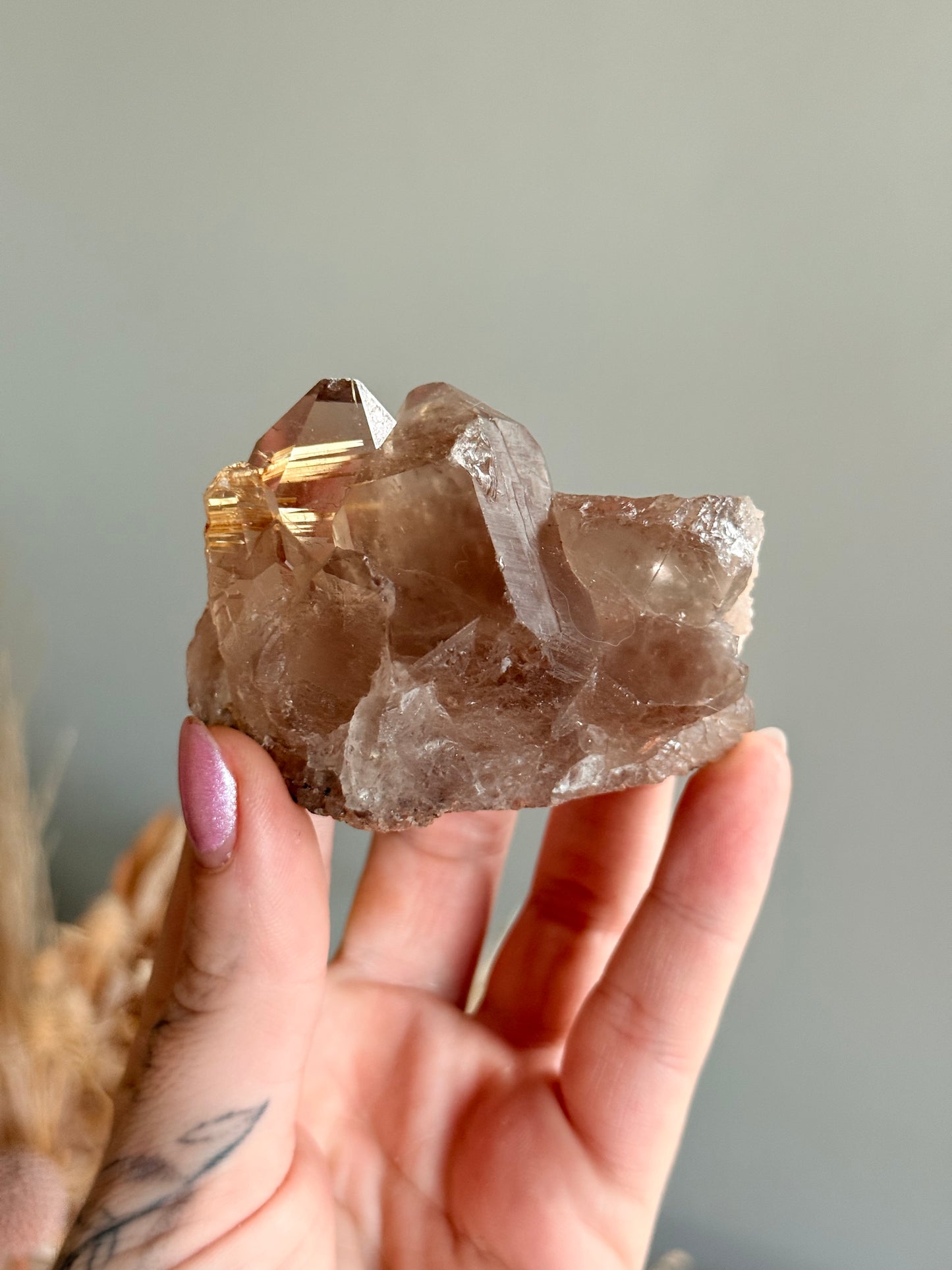 Smoky Rutilated Quartz Cluster