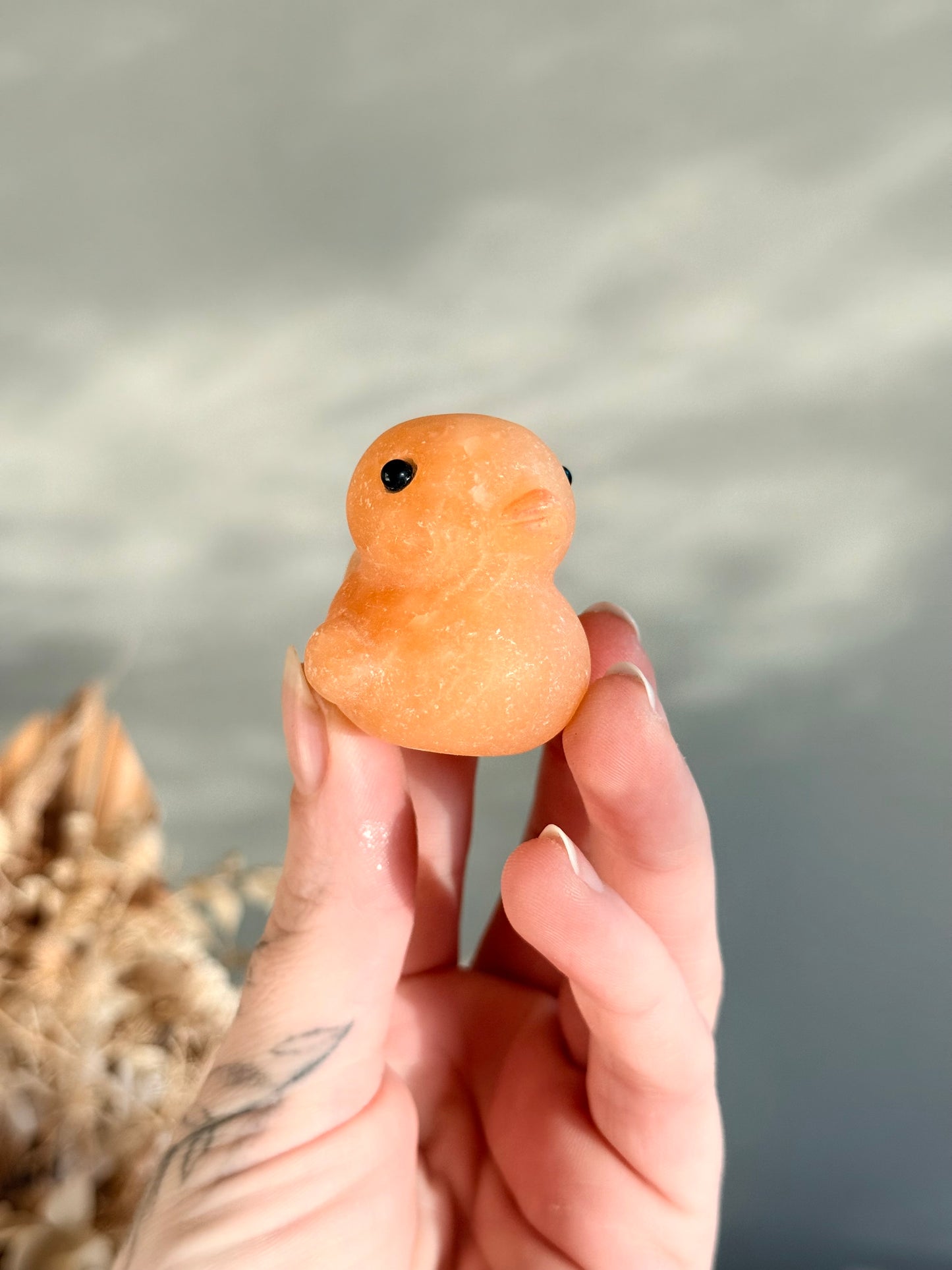 Calcite Duck