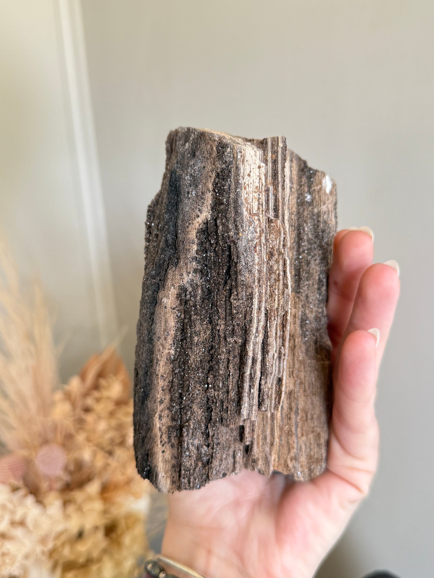 Crystallised Fossilised Wood