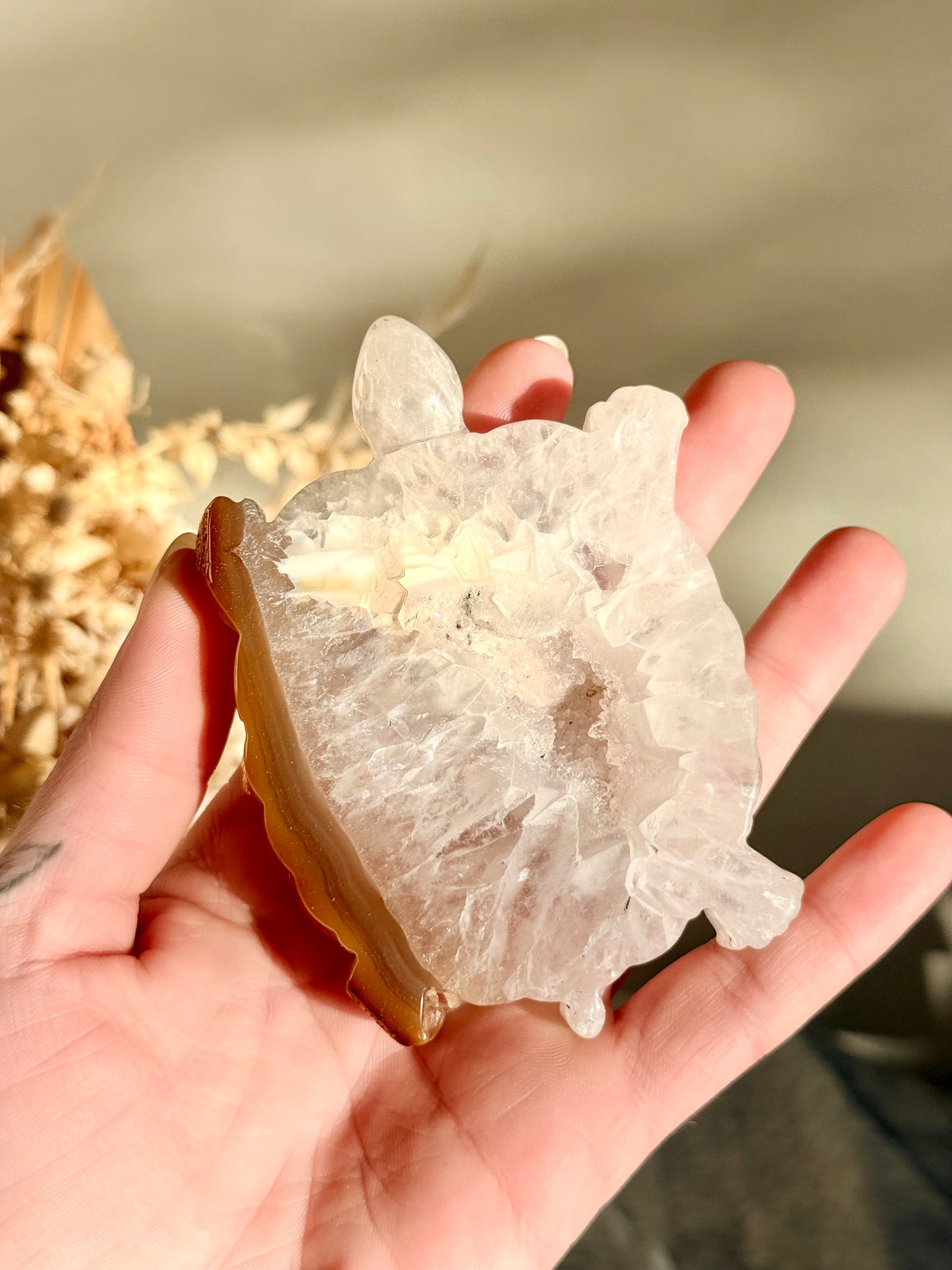 Druzy Agate Turtle