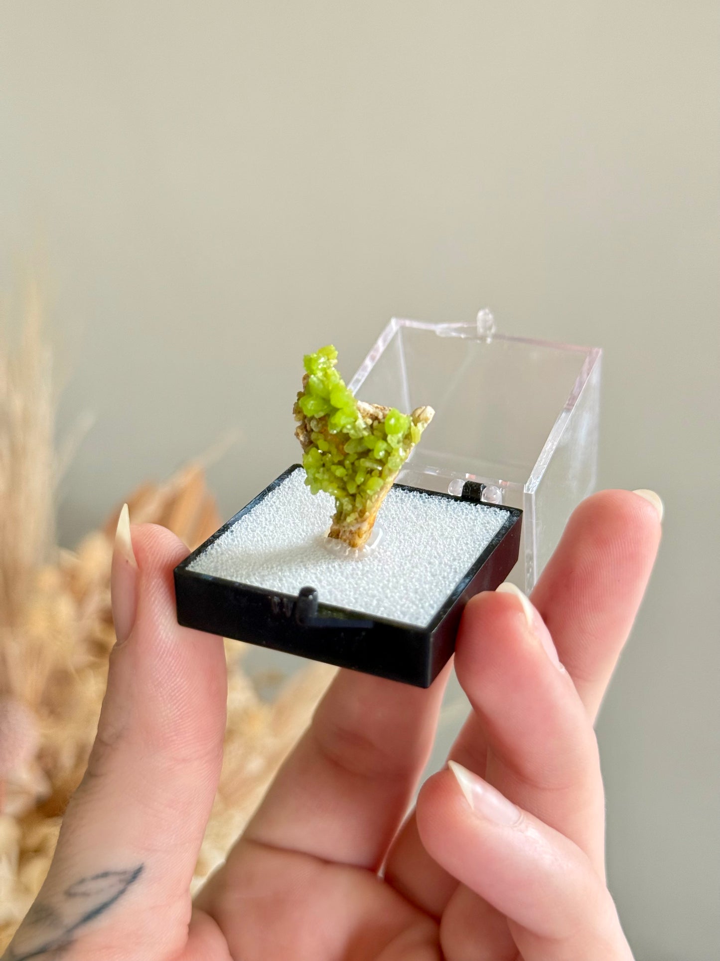 Pyromorphite Specimen