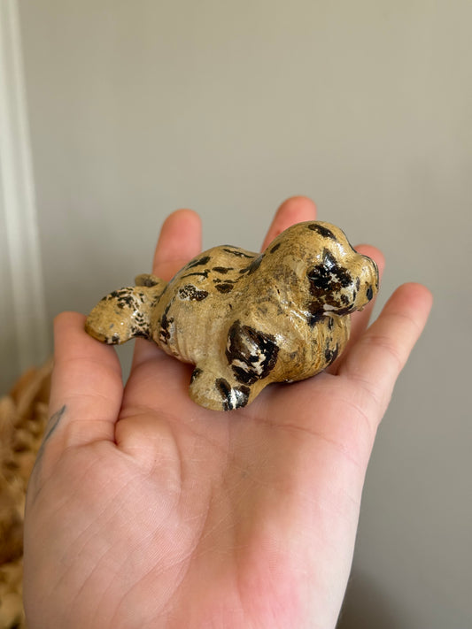 Picture Jasper Walrus