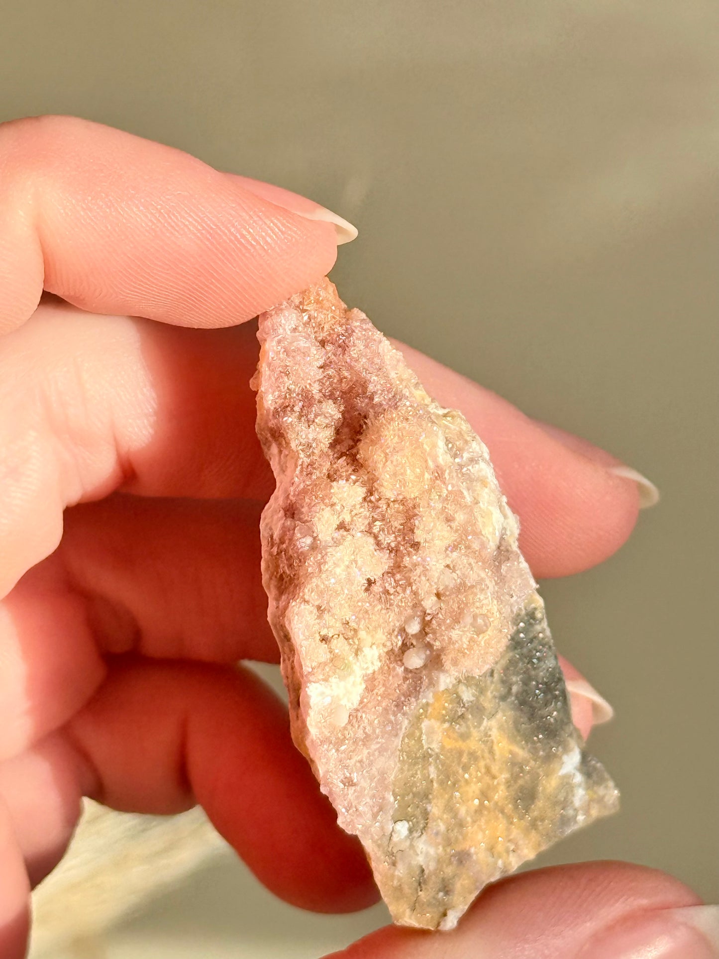 Creedite