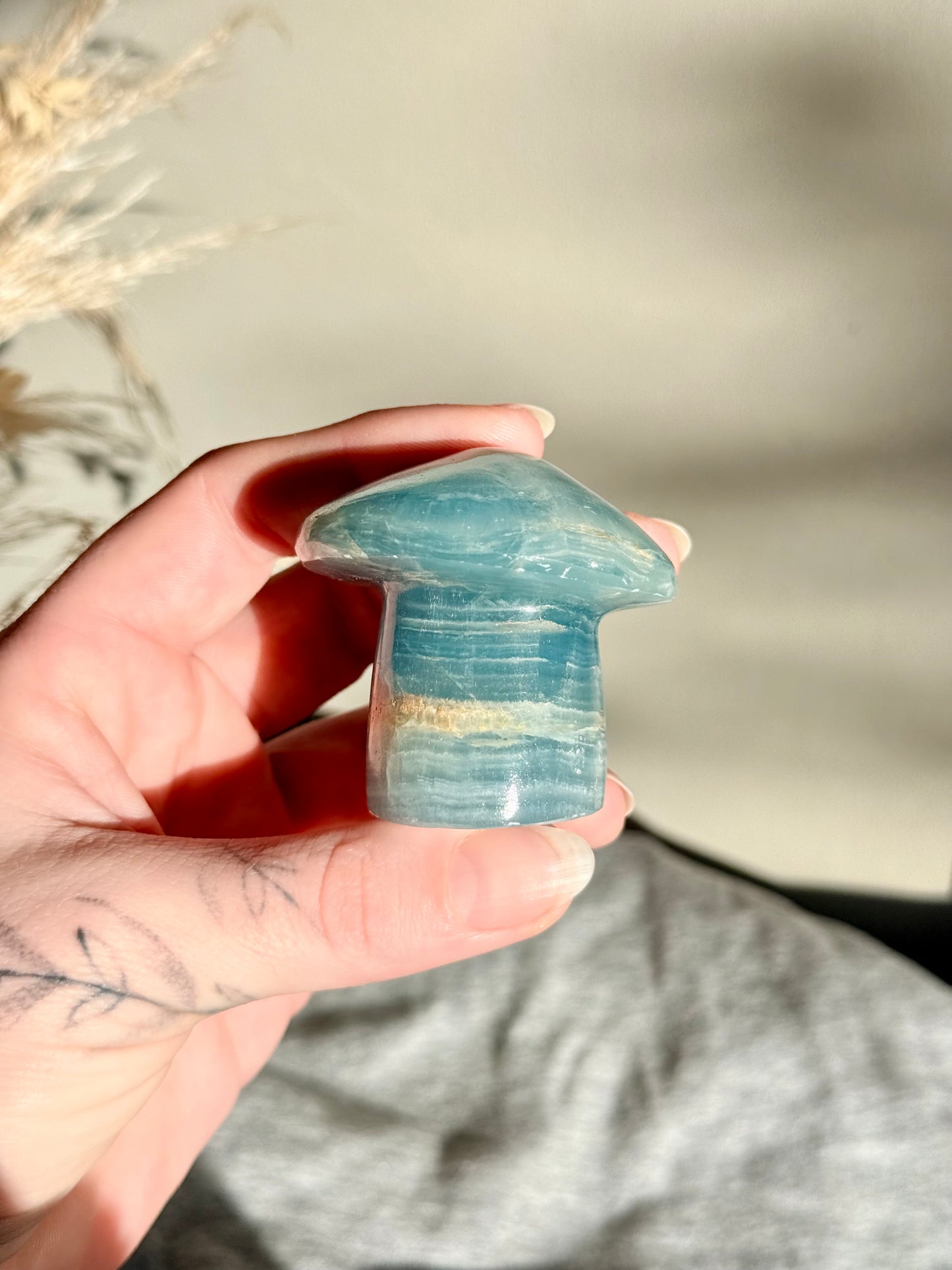 Blue Onyx Mushroom