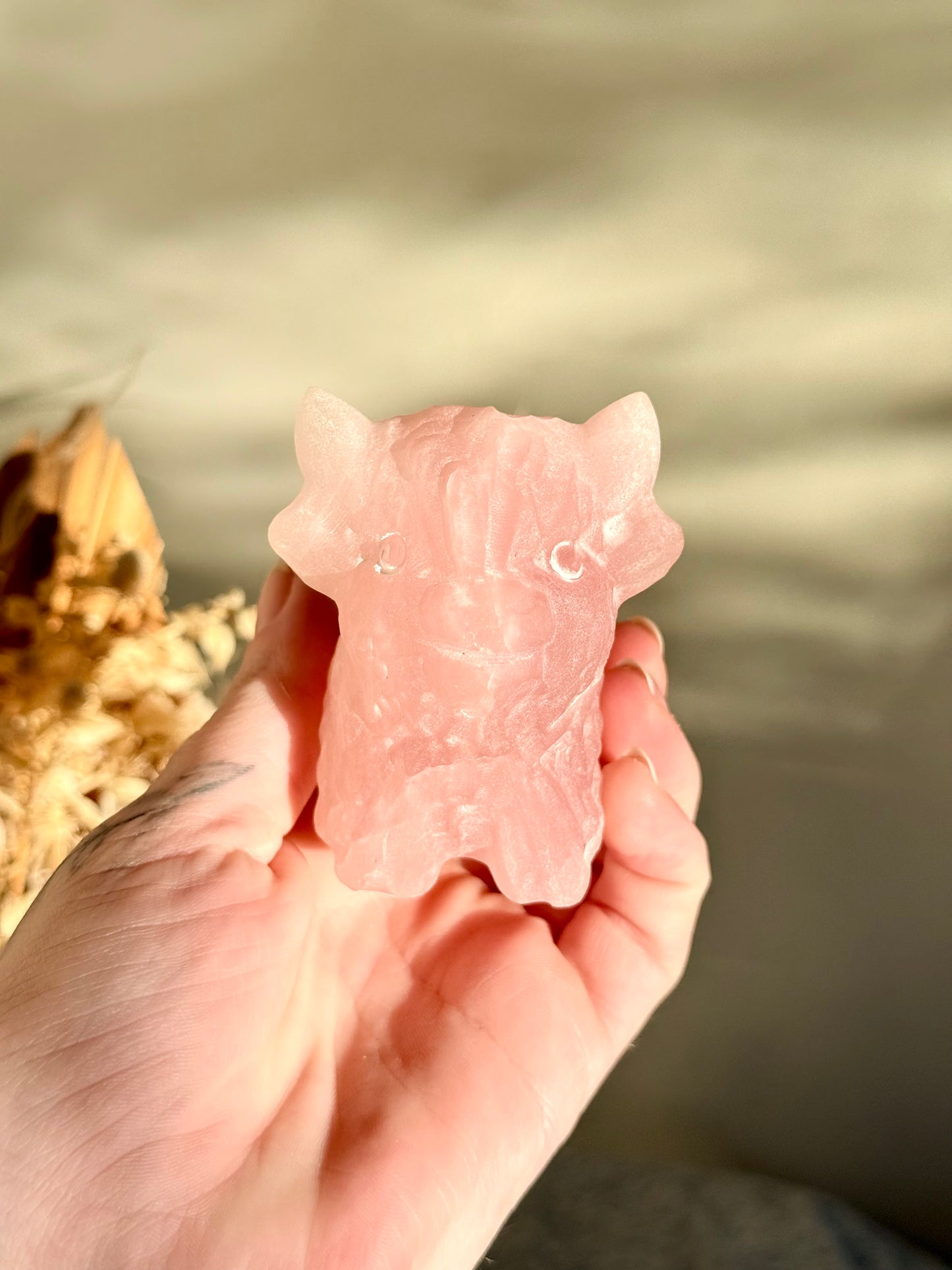 Rose Quartz Highland Cow