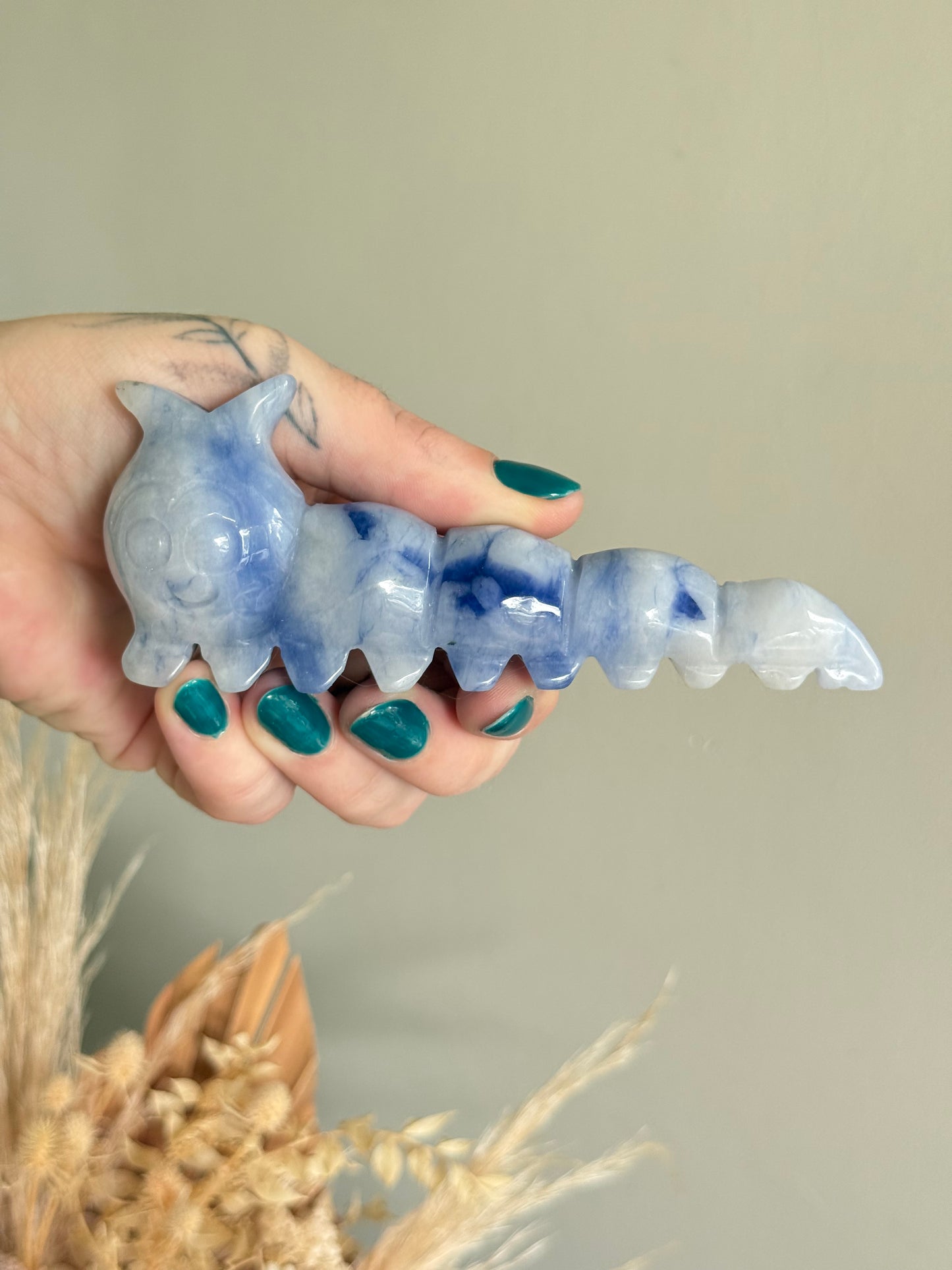 Blue Jean Jasper Caterpillar