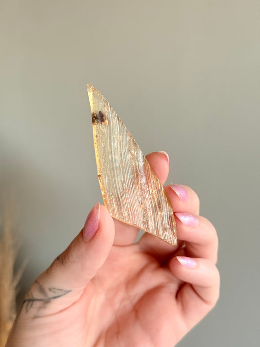 Copal with Insect (young Amber)