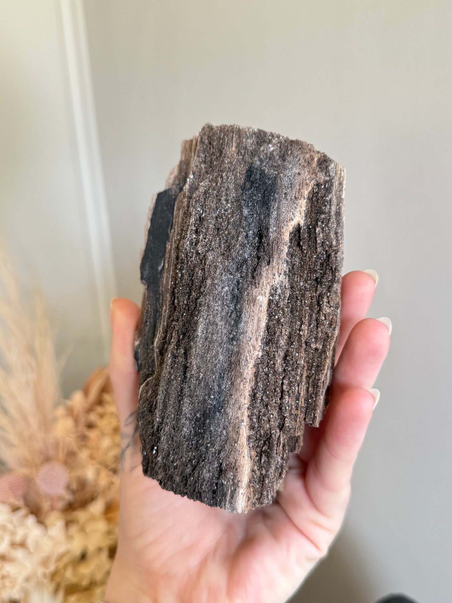 Crystallised Fossilised Wood