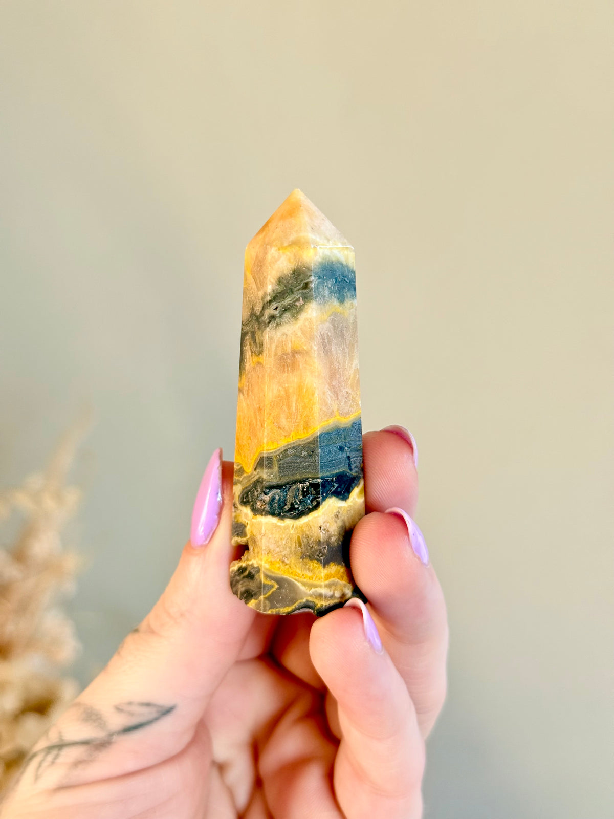 Bumblebee Jasper Point