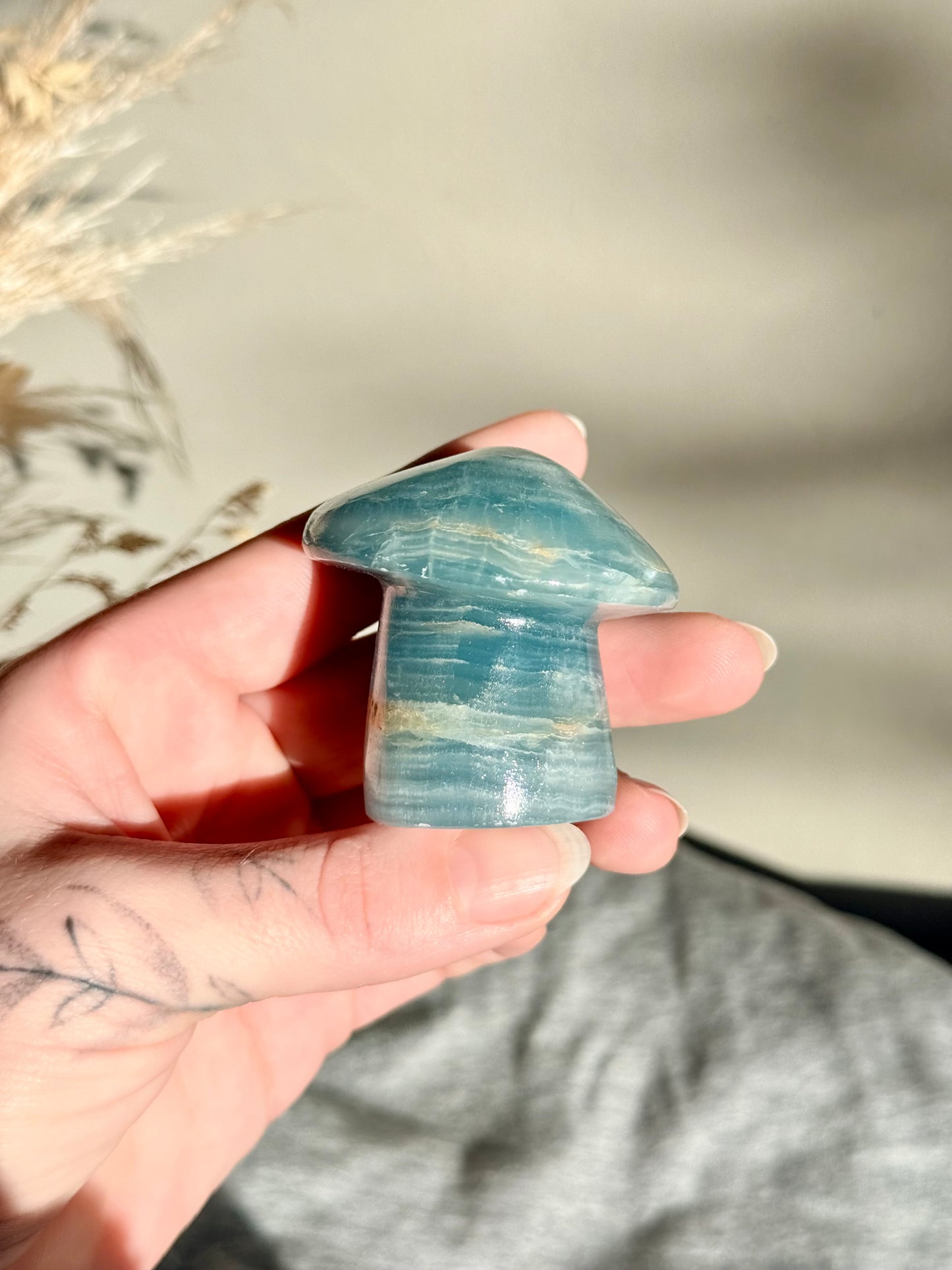 Blue Onyx Mushroom