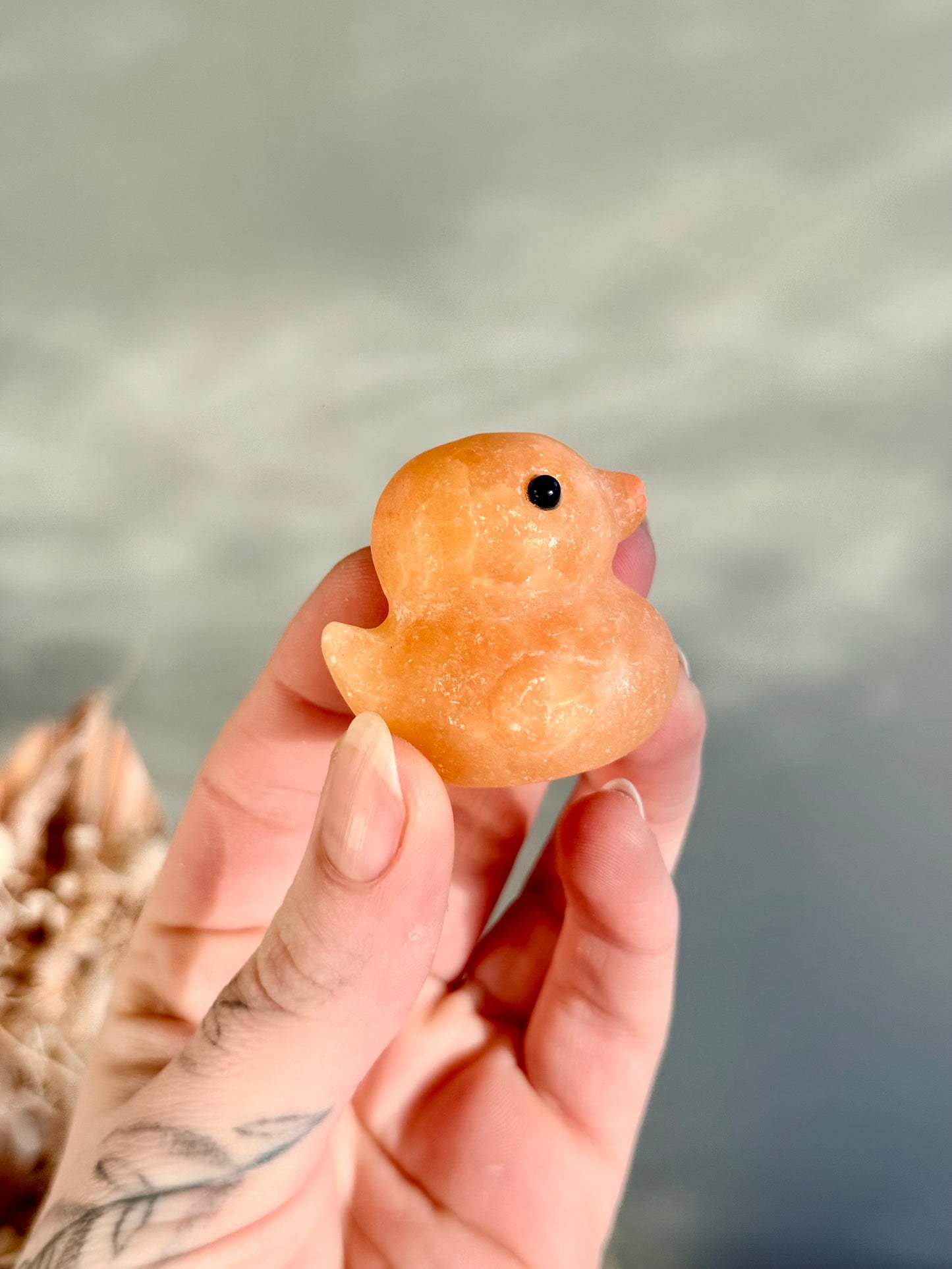 Calcite Duck