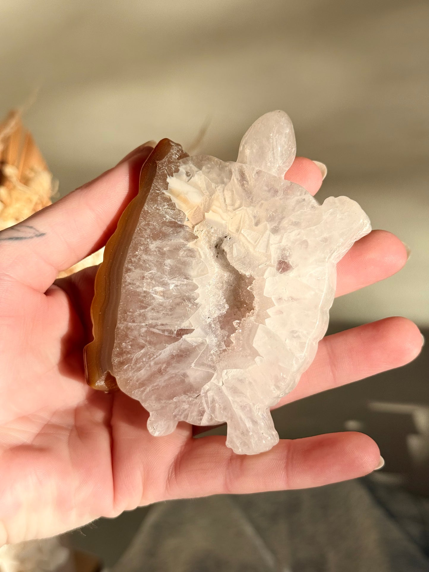 Druzy Agate Turtle