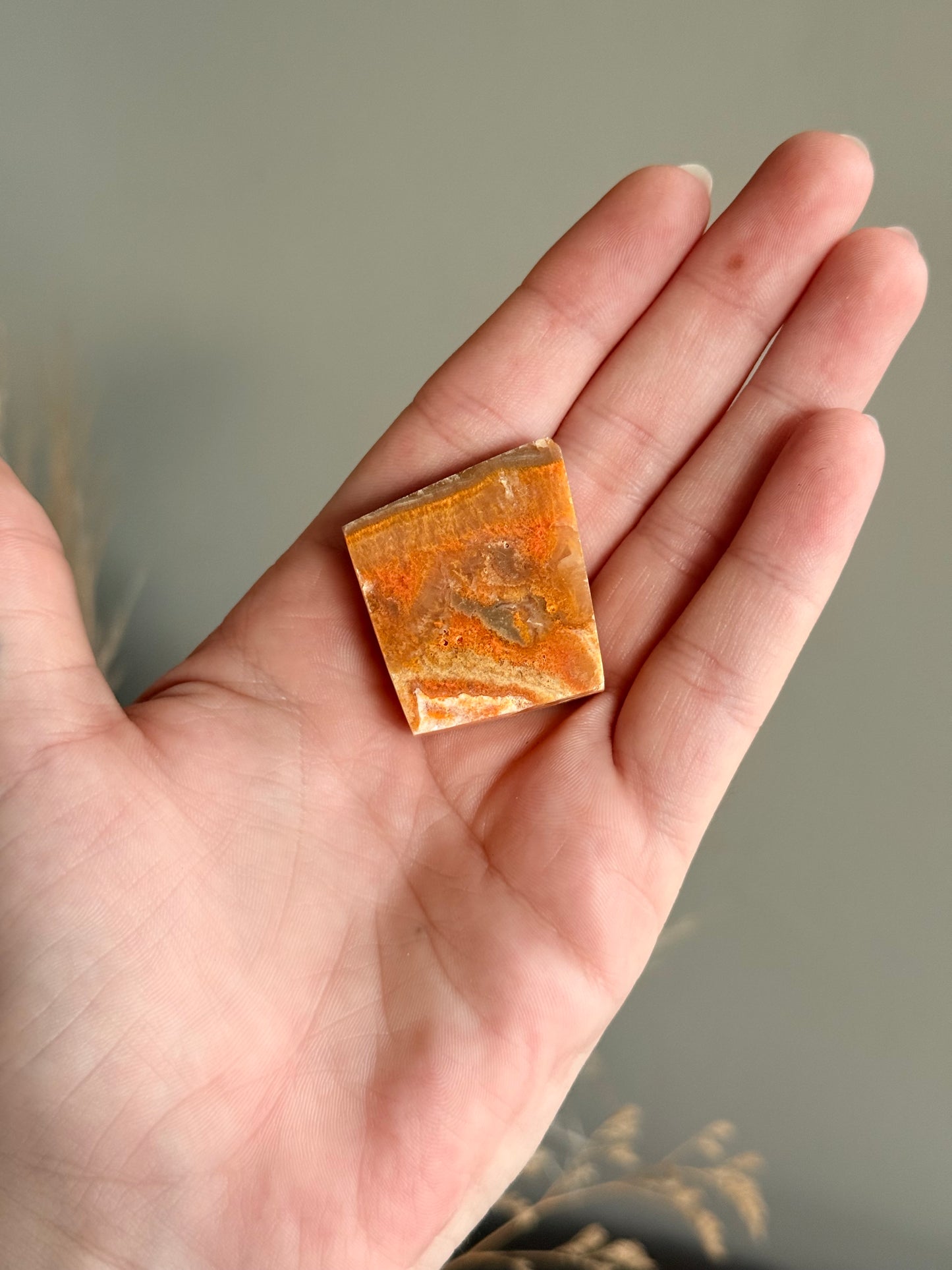 Bumblebee Jasper Freeform