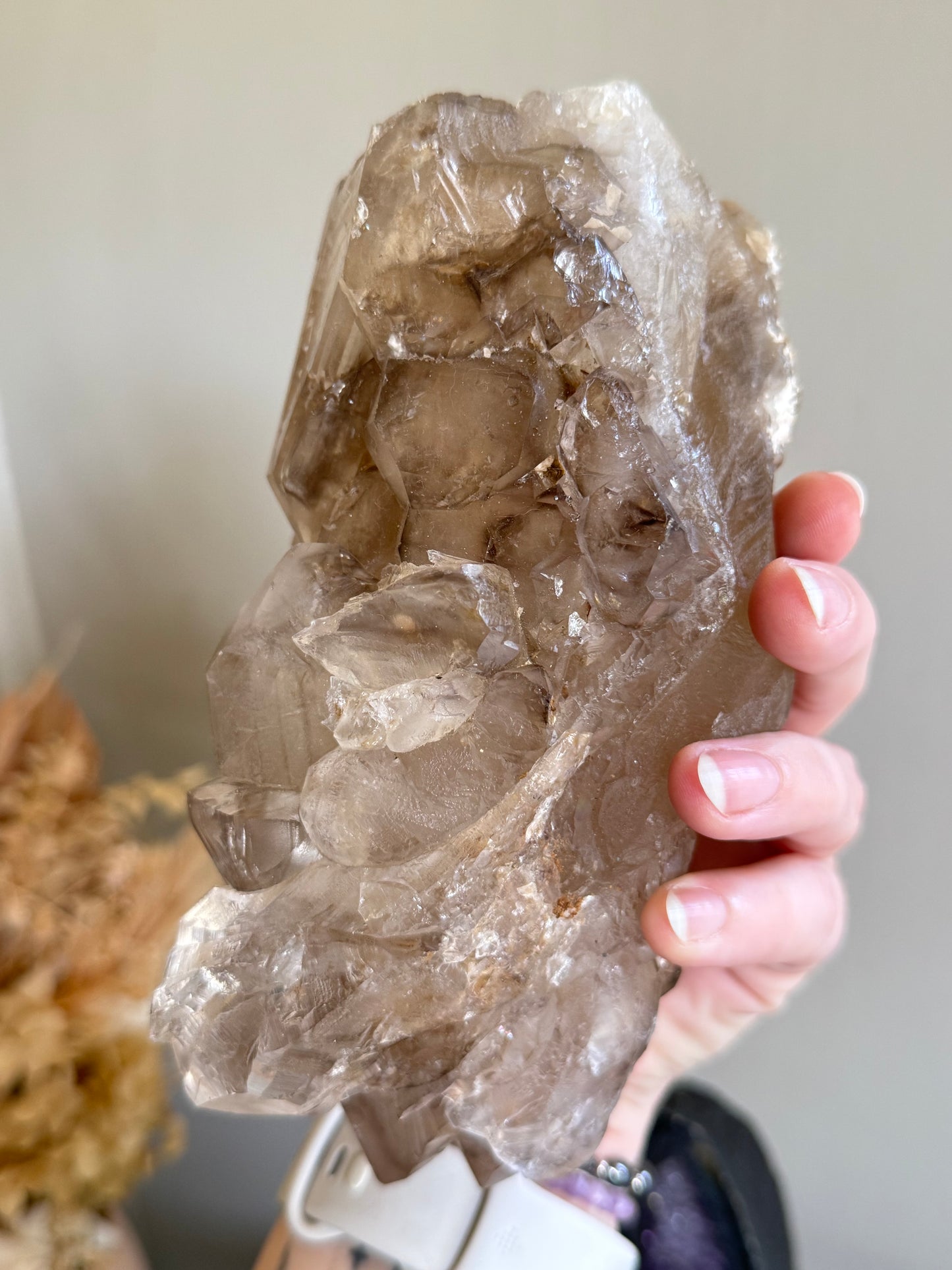 Elestial Smoky Garden Quartz