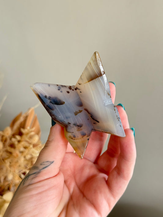 Dendritic Agate Butterfly