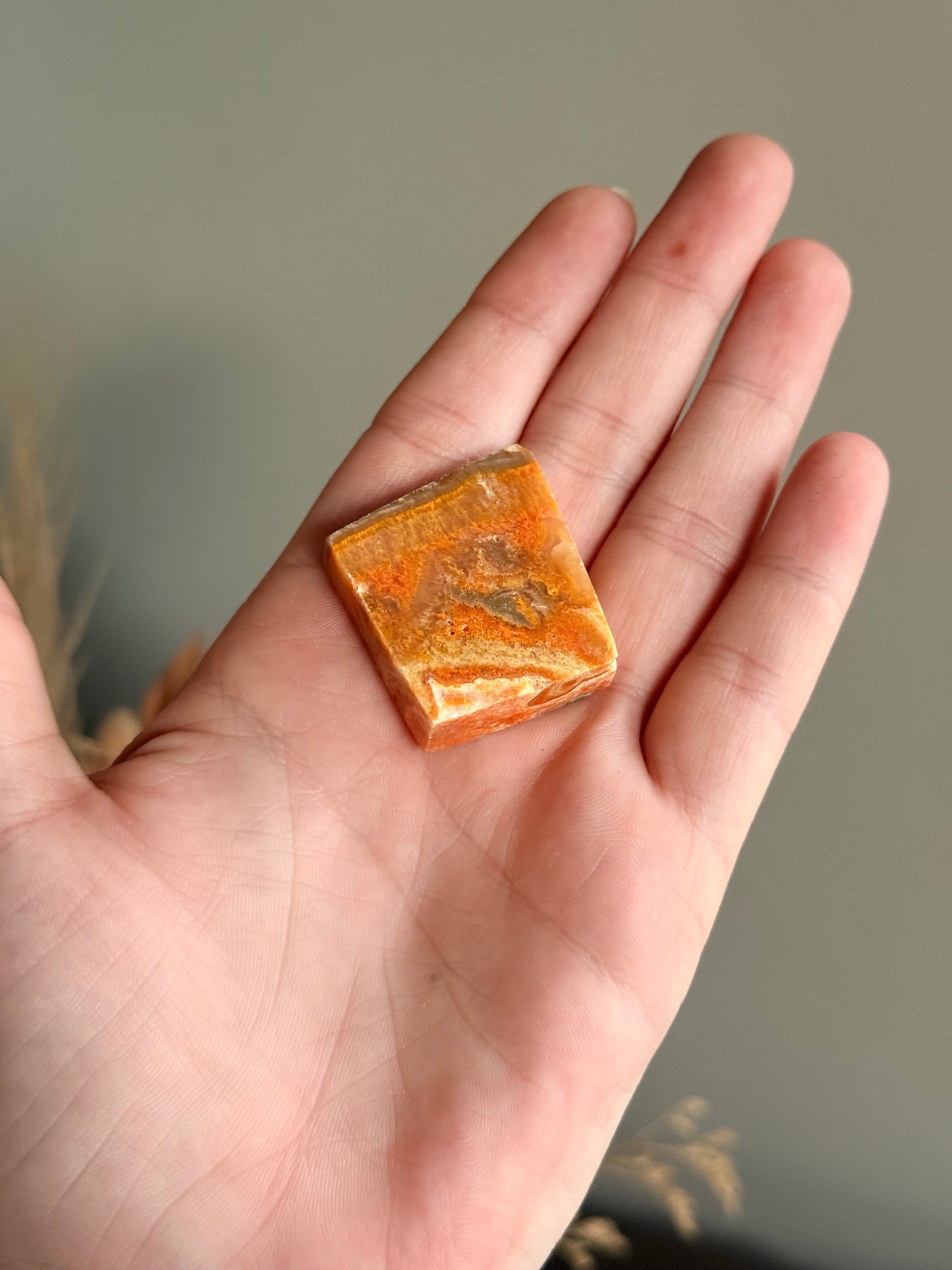 Bumblebee Jasper Freeform