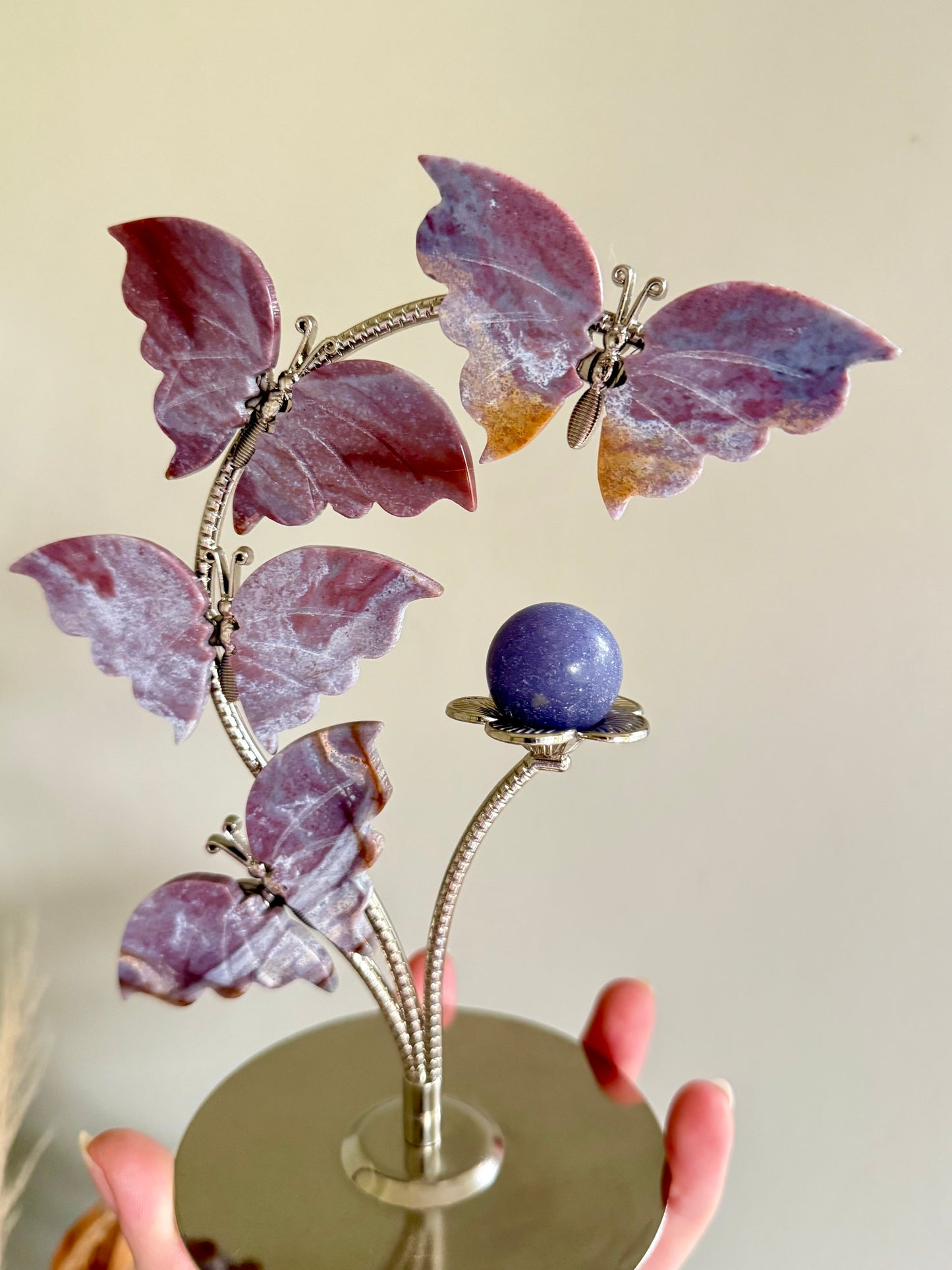 Ocean Jasper Butterflies